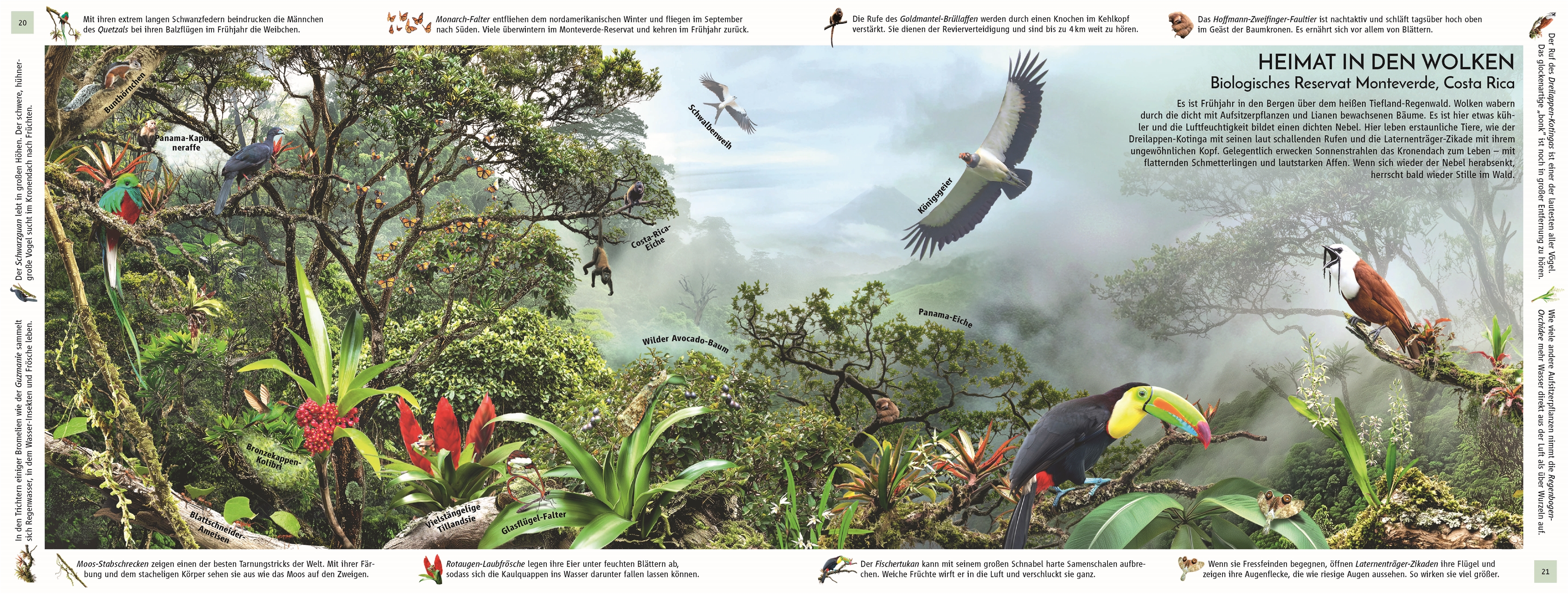 9783831051458_innenansicht_06 9783831051458_innenansicht_06.jpg