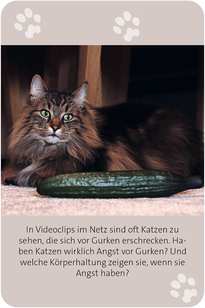 9783964553416_innenansicht_05.jpg