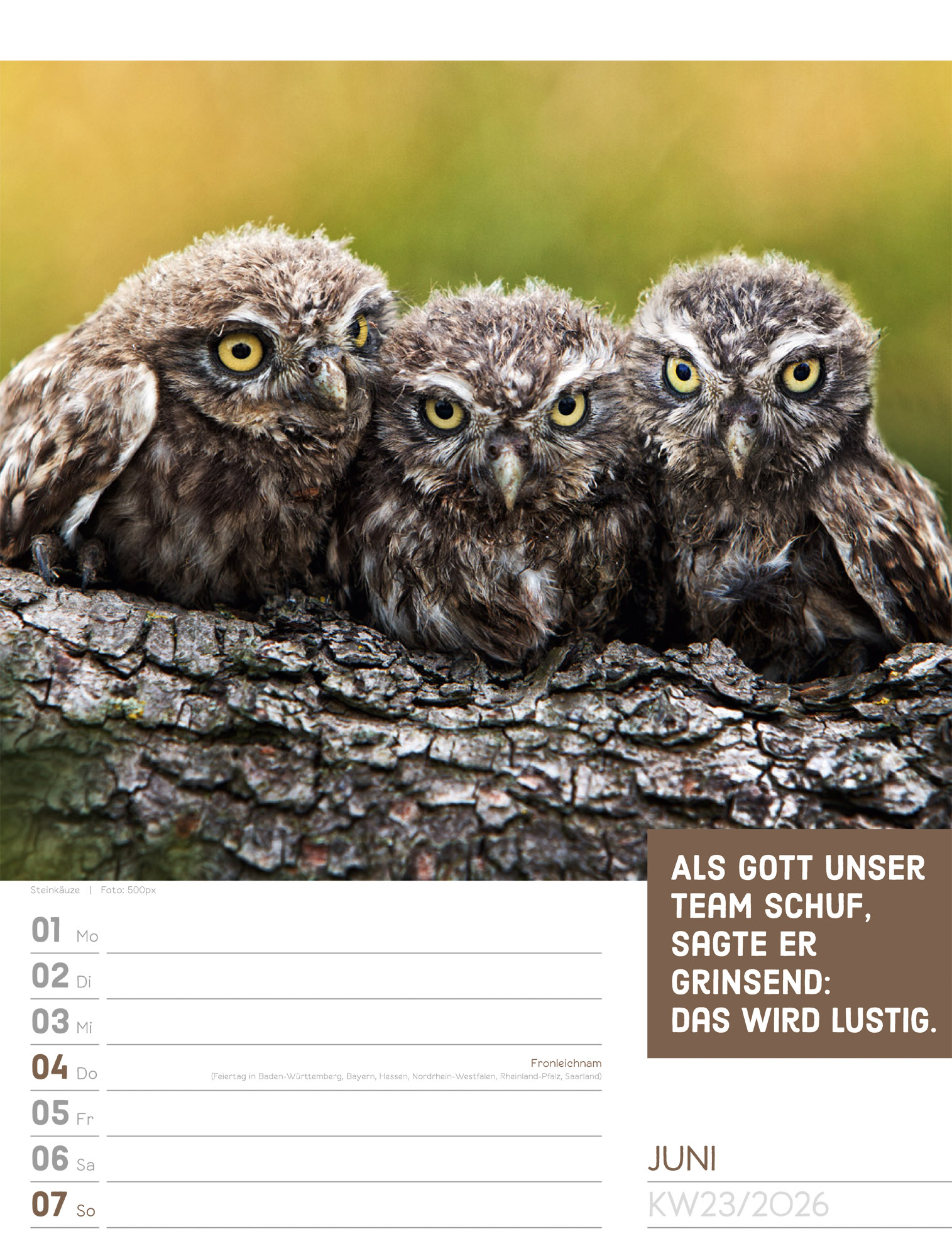 9783838426969_innenansicht_26.jpg