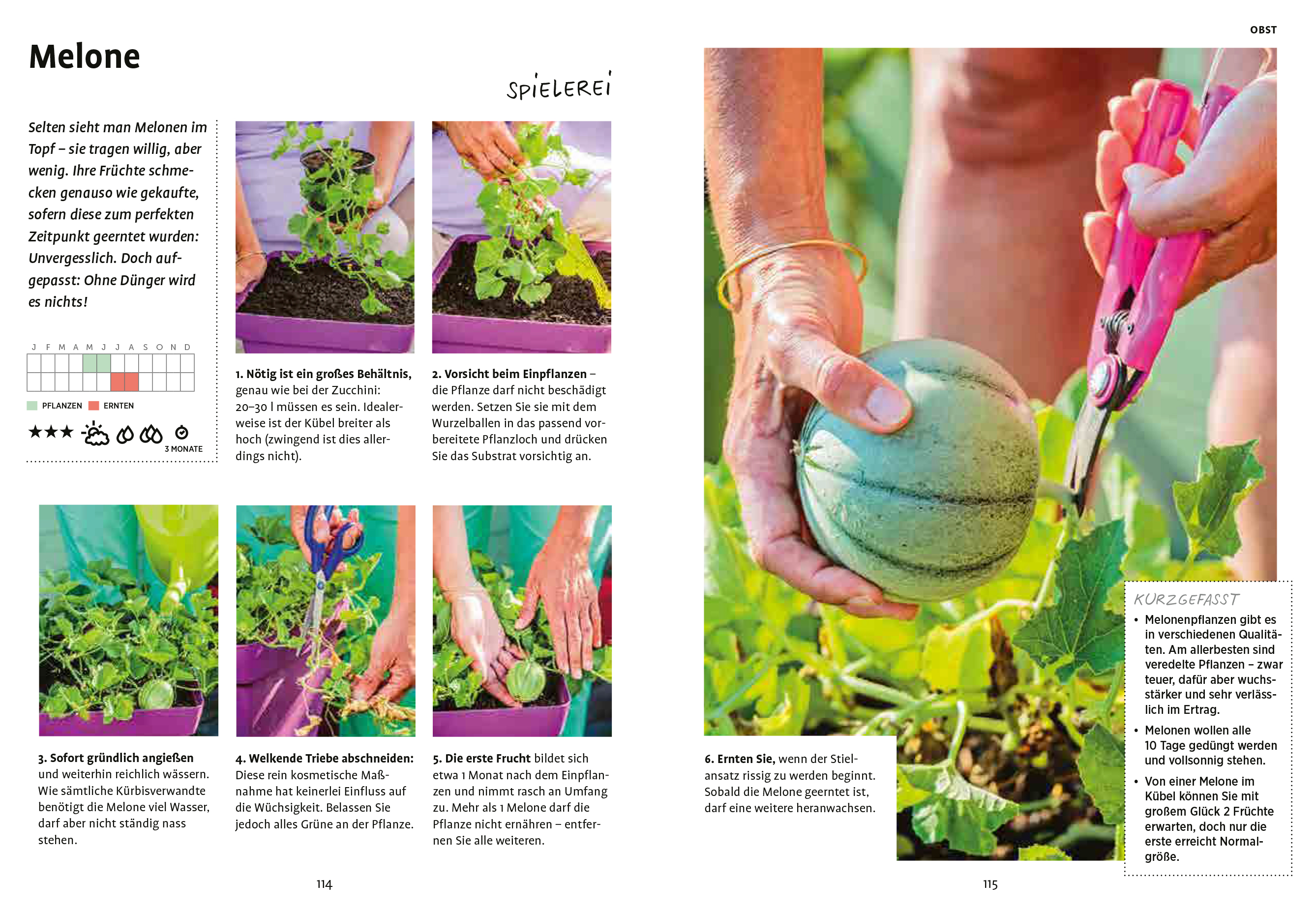 9783818610289_innenansicht_06 9783818610289_innenansicht_06.jpg