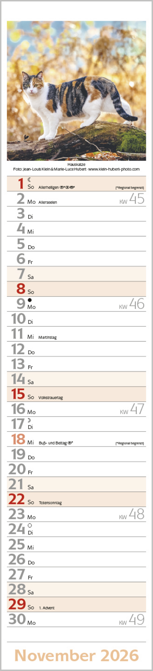 9783731886891_innenansicht_11 9783731886891_innenansicht_11.jpg