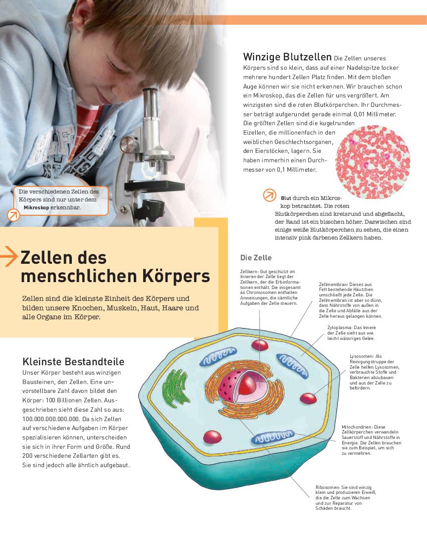 9783625195078_innenansicht_05.jpg