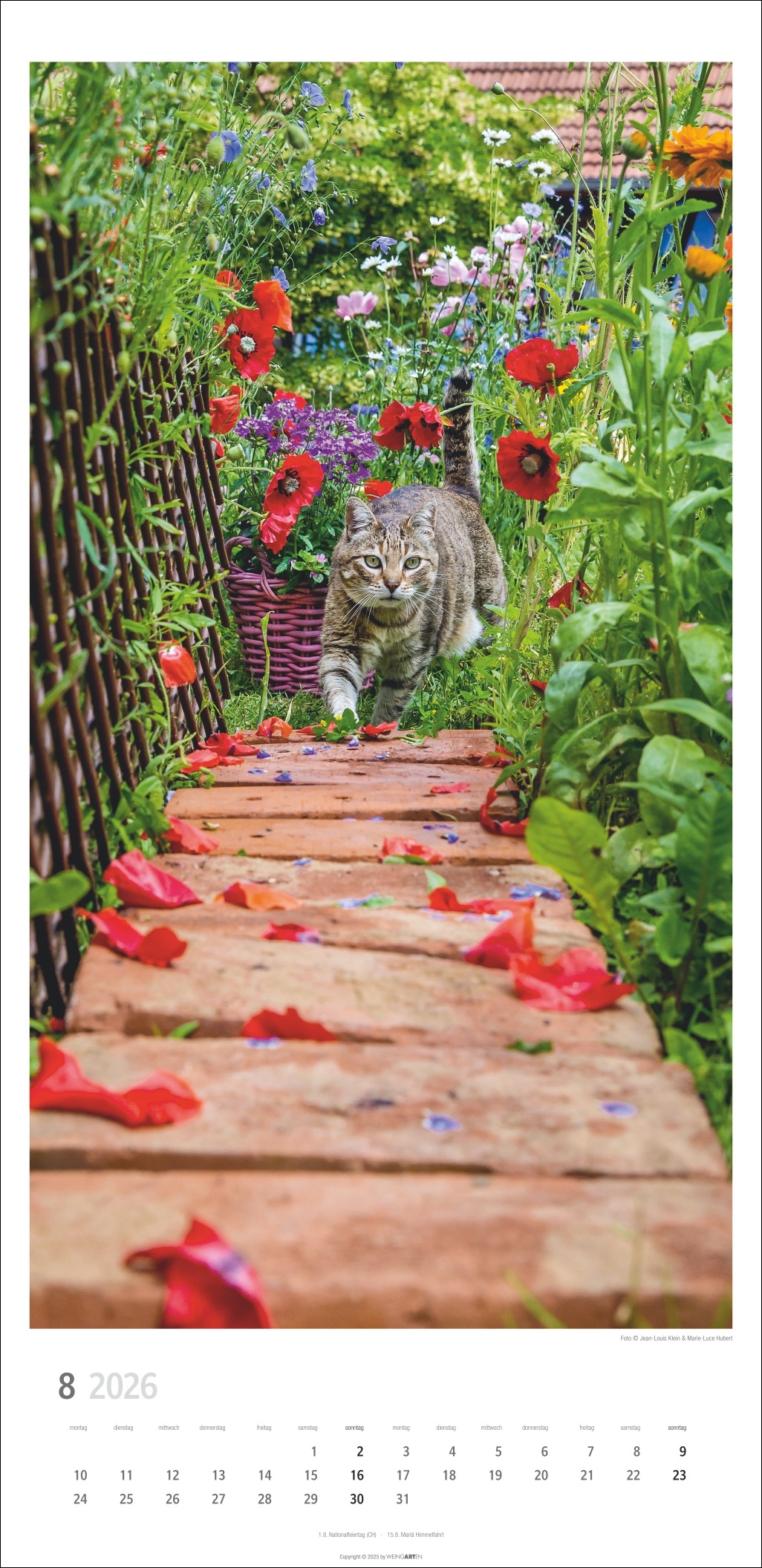 9783839903025_innenansicht_08 9783839903025_innenansicht_08.jpg