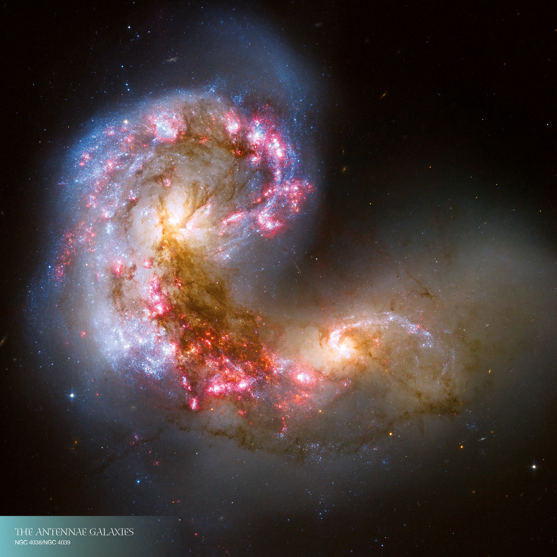 9783959295055_innenansicht_11 9783959295055_innenansicht_11.jpg