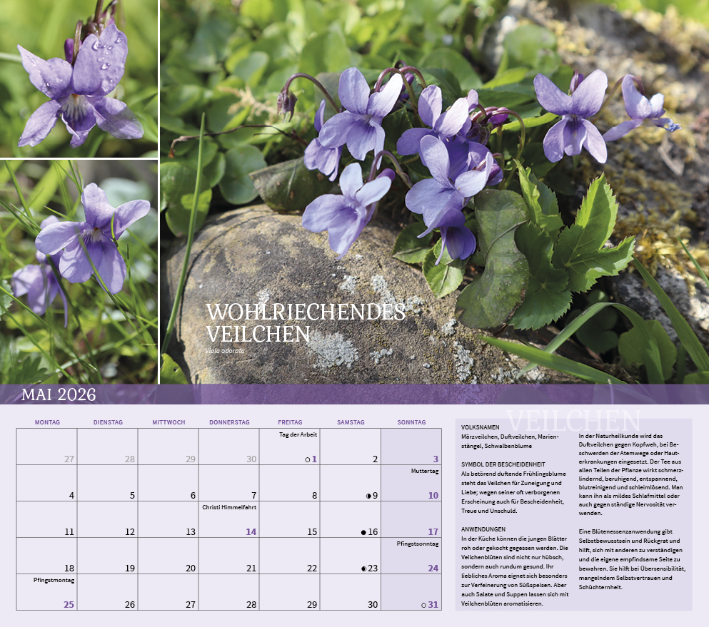 9783861925309_innenansicht_05 9783861925309_innenansicht_05.jpg