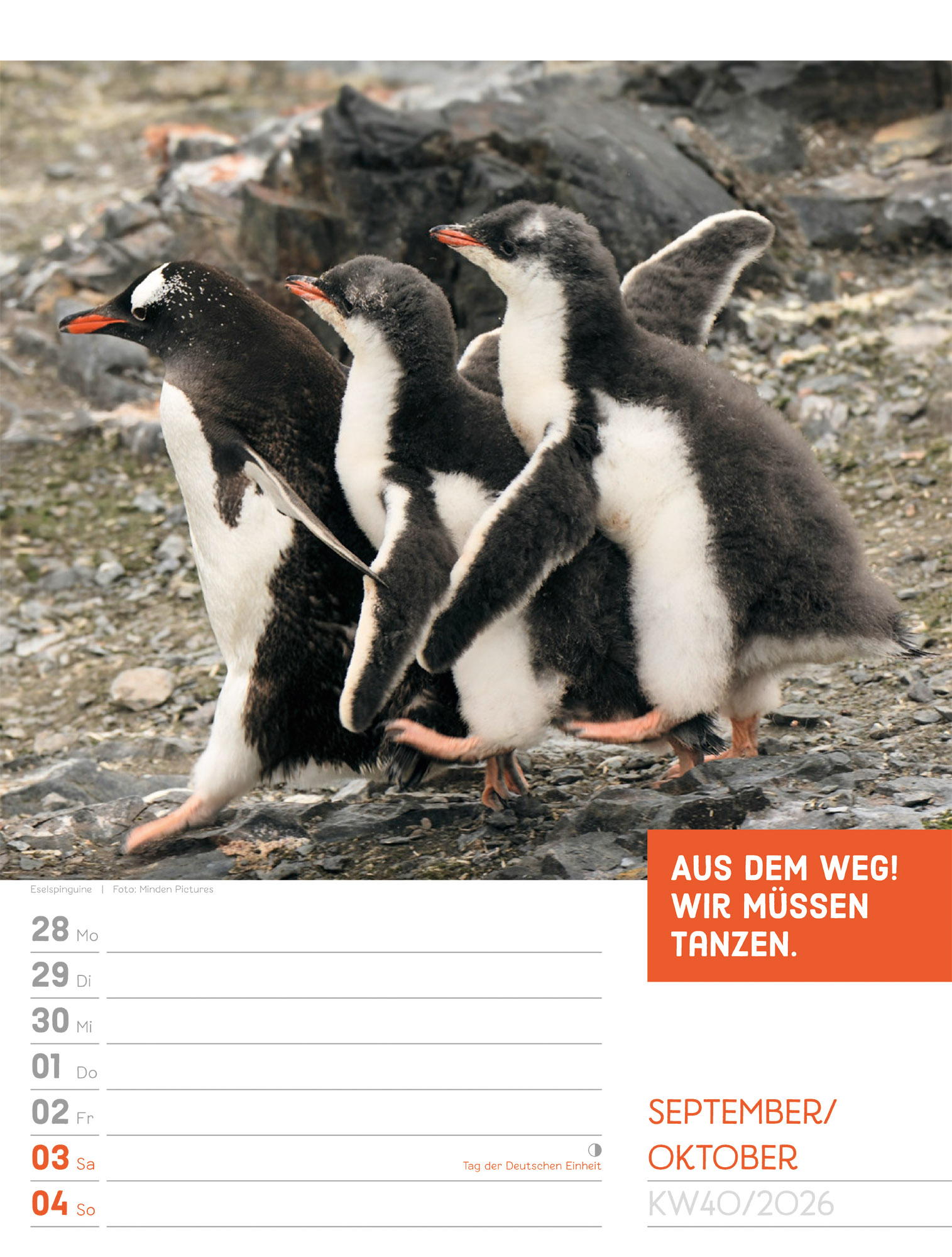 9783838426969_innenansicht_43.jpg