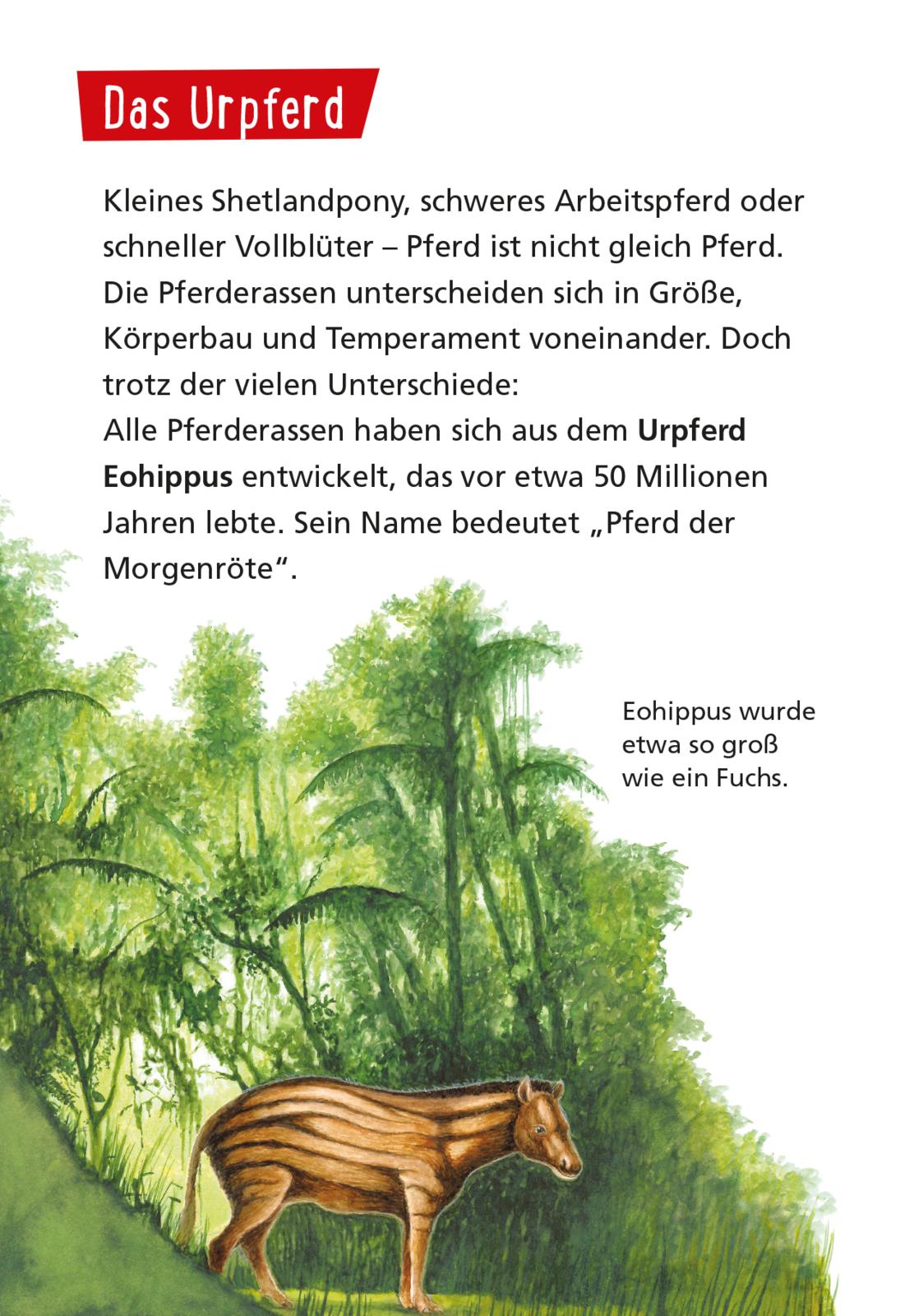9783551242419_innenansicht_01.jpg