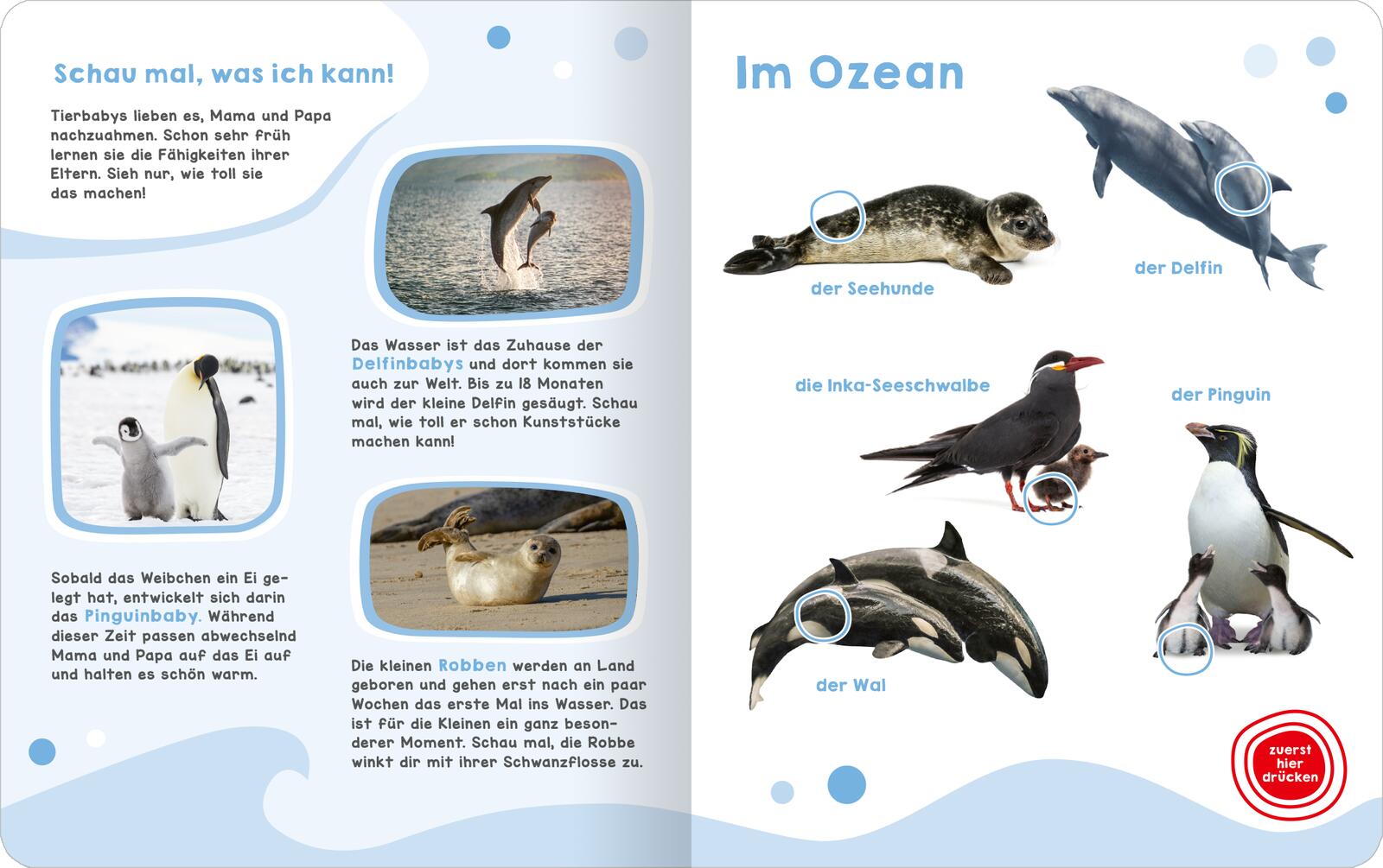 9783845860985_innenansicht_03 9783845860985_innenansicht_03.jpg