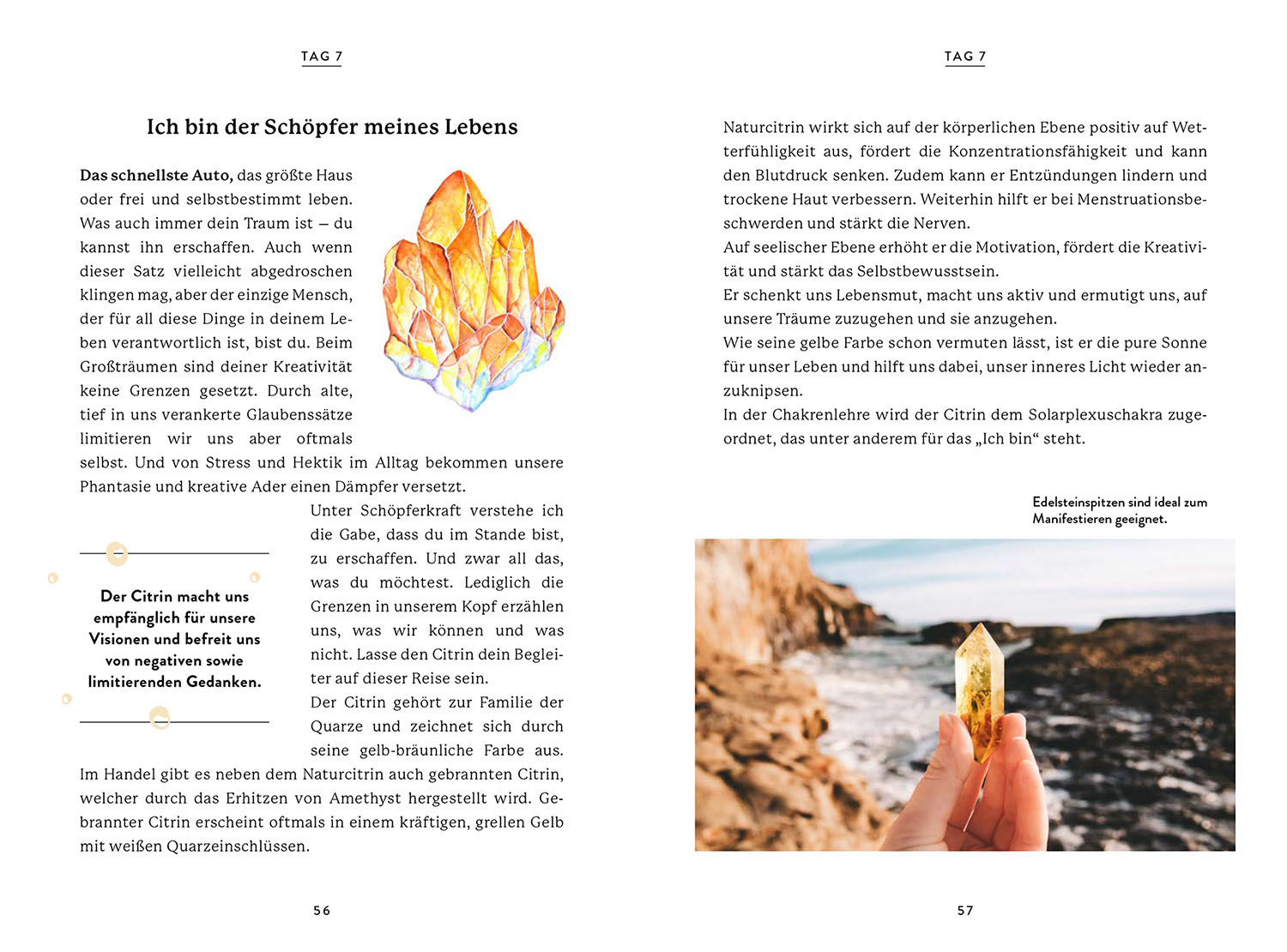 9783968600659_innenansicht_04.jpg