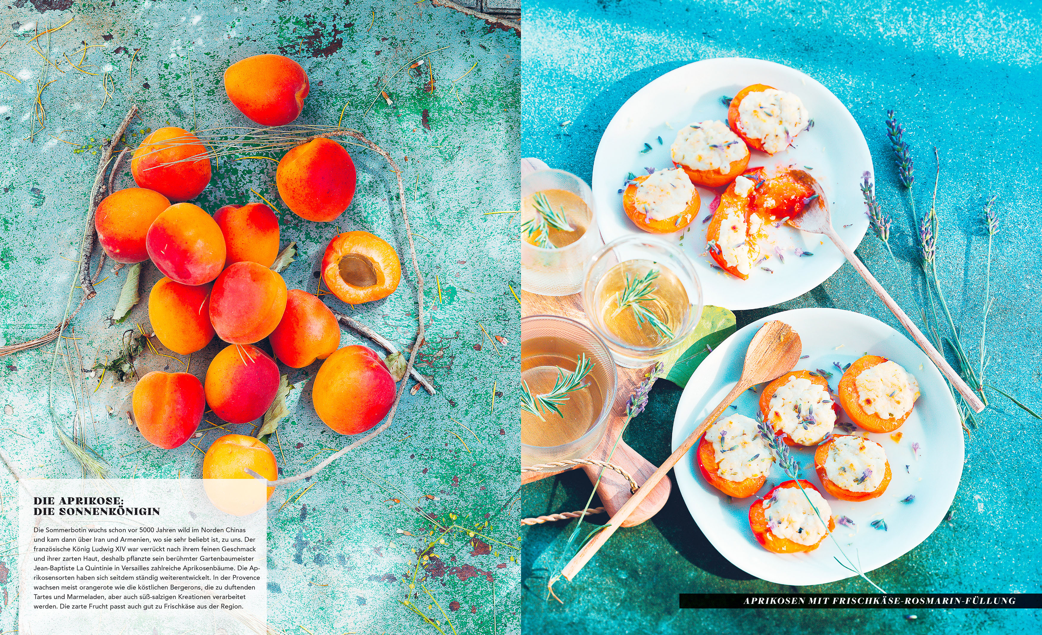 9783965843011_innenansicht_05 9783965843011_innenansicht_05.jpg