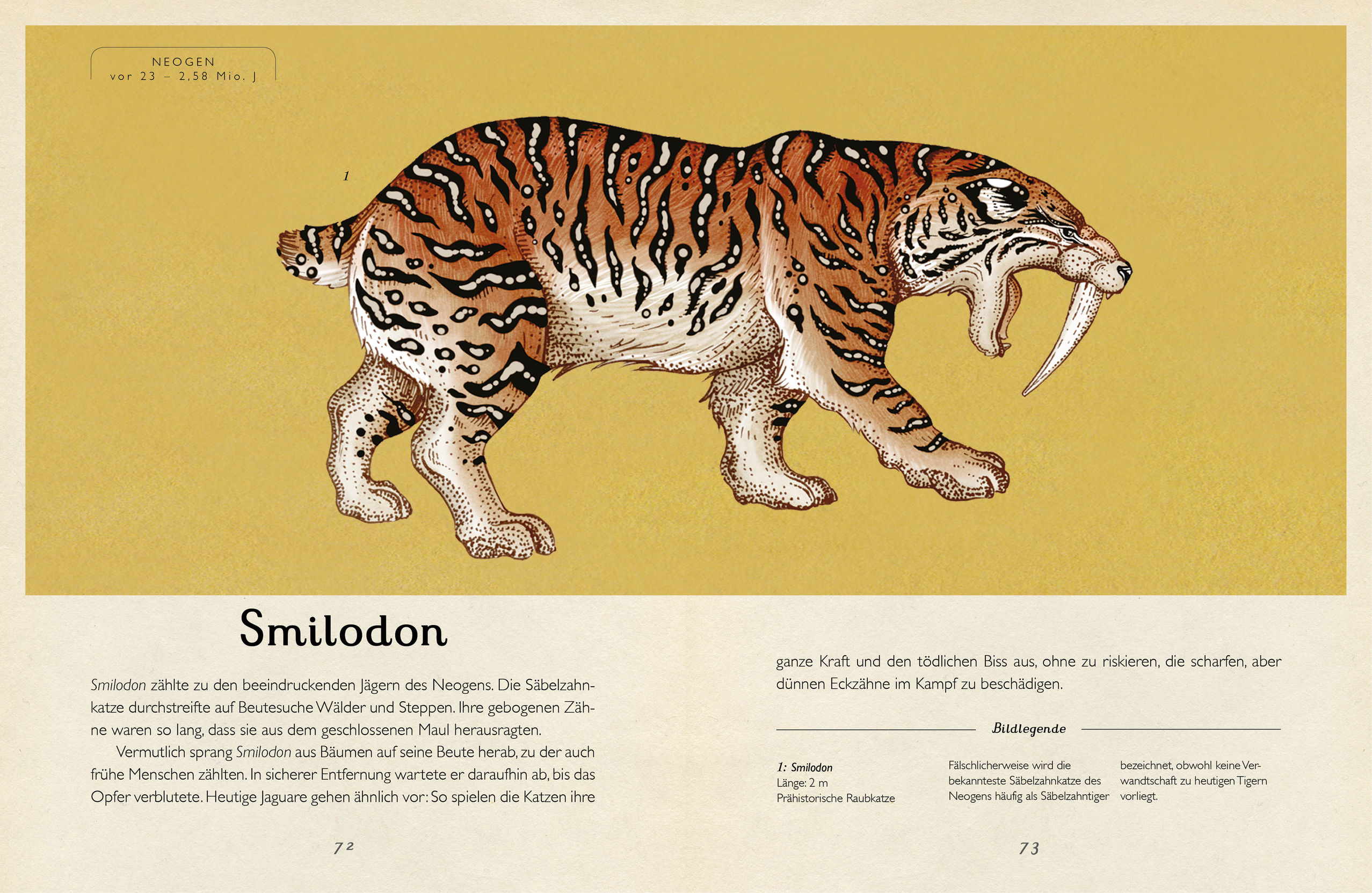 9783791373089_innenansicht_06 9783791373089_innenansicht_06.jpg