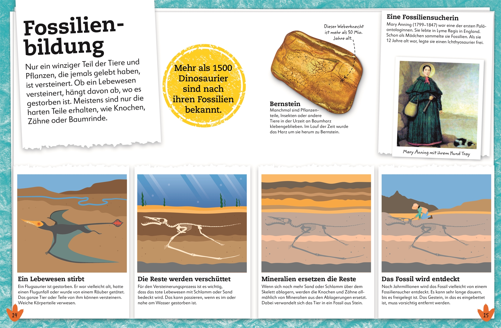 9783831042142_innenansicht_02 9783831042142_innenansicht_02.jpg