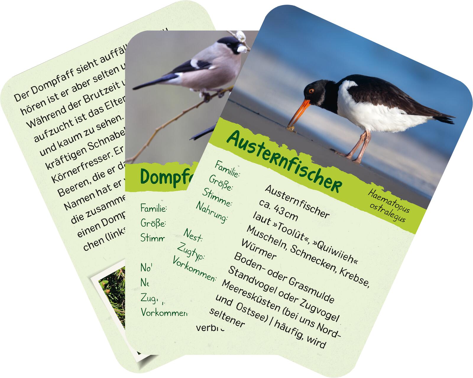 9783845856599_innenansicht_06 9783845856599_innenansicht_06.jpg