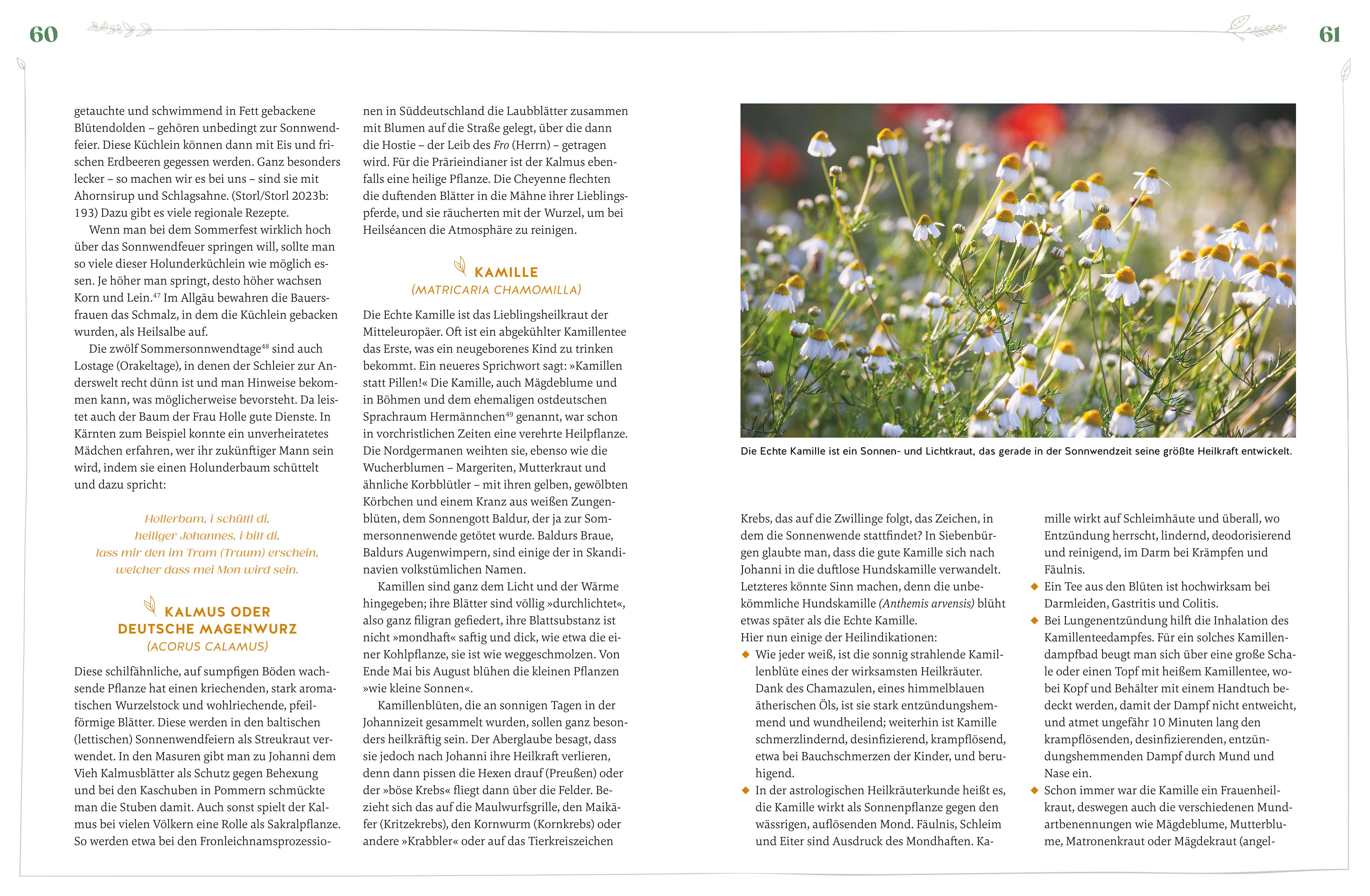 9783833894992_innenansicht_06 9783833894992_innenansicht_06.jpg