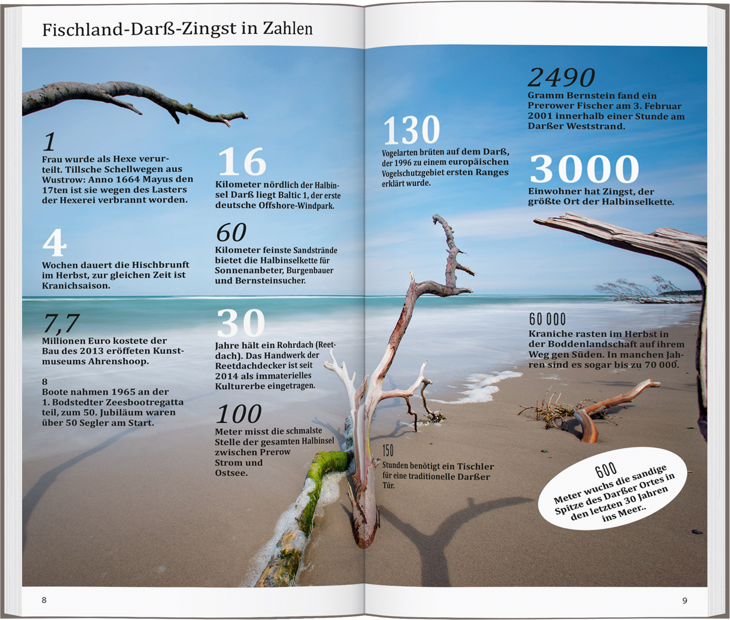 9783616000824_innenansicht_02 9783616000824_innenansicht_02.jpg