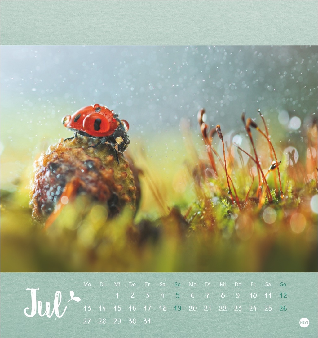 9783756411689_innenansicht_07 9783756411689_innenansicht_07.jpg