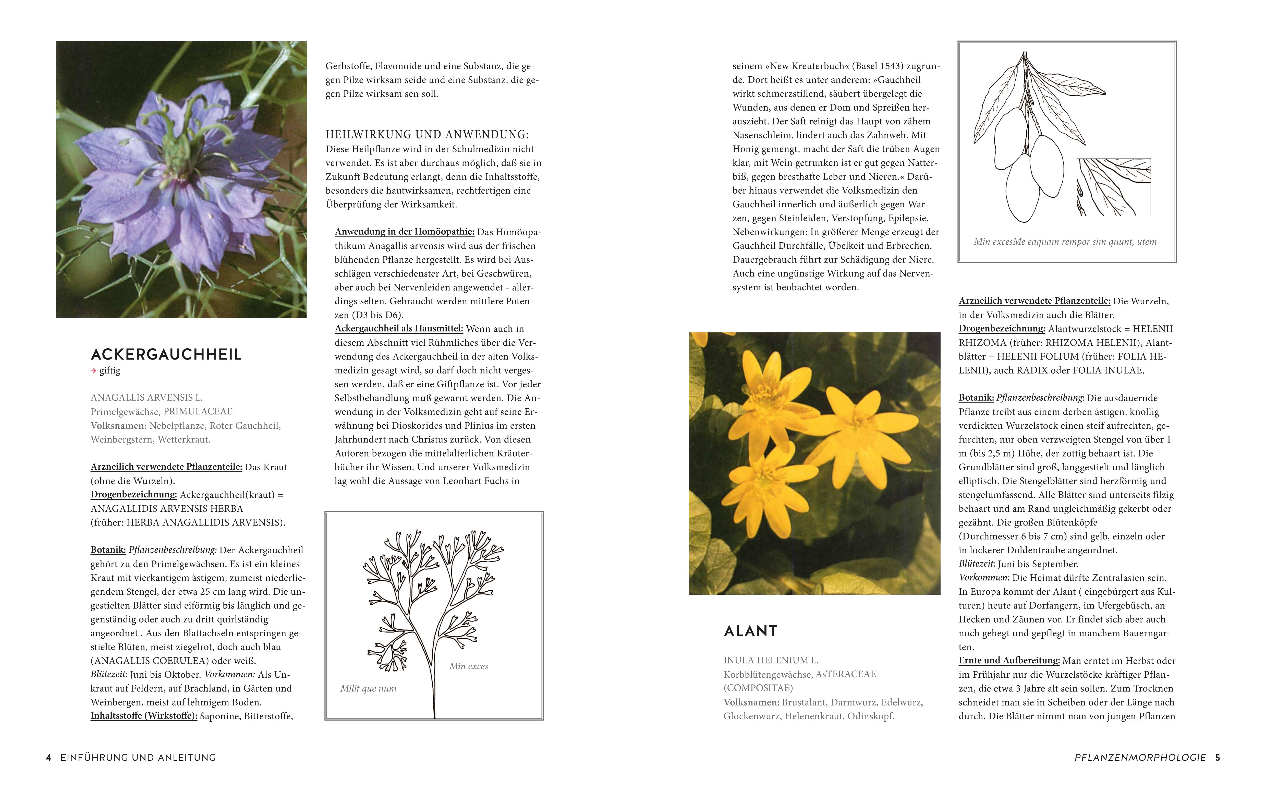 9783833879265_innenansicht_02 9783833879265_innenansicht_02.jpg