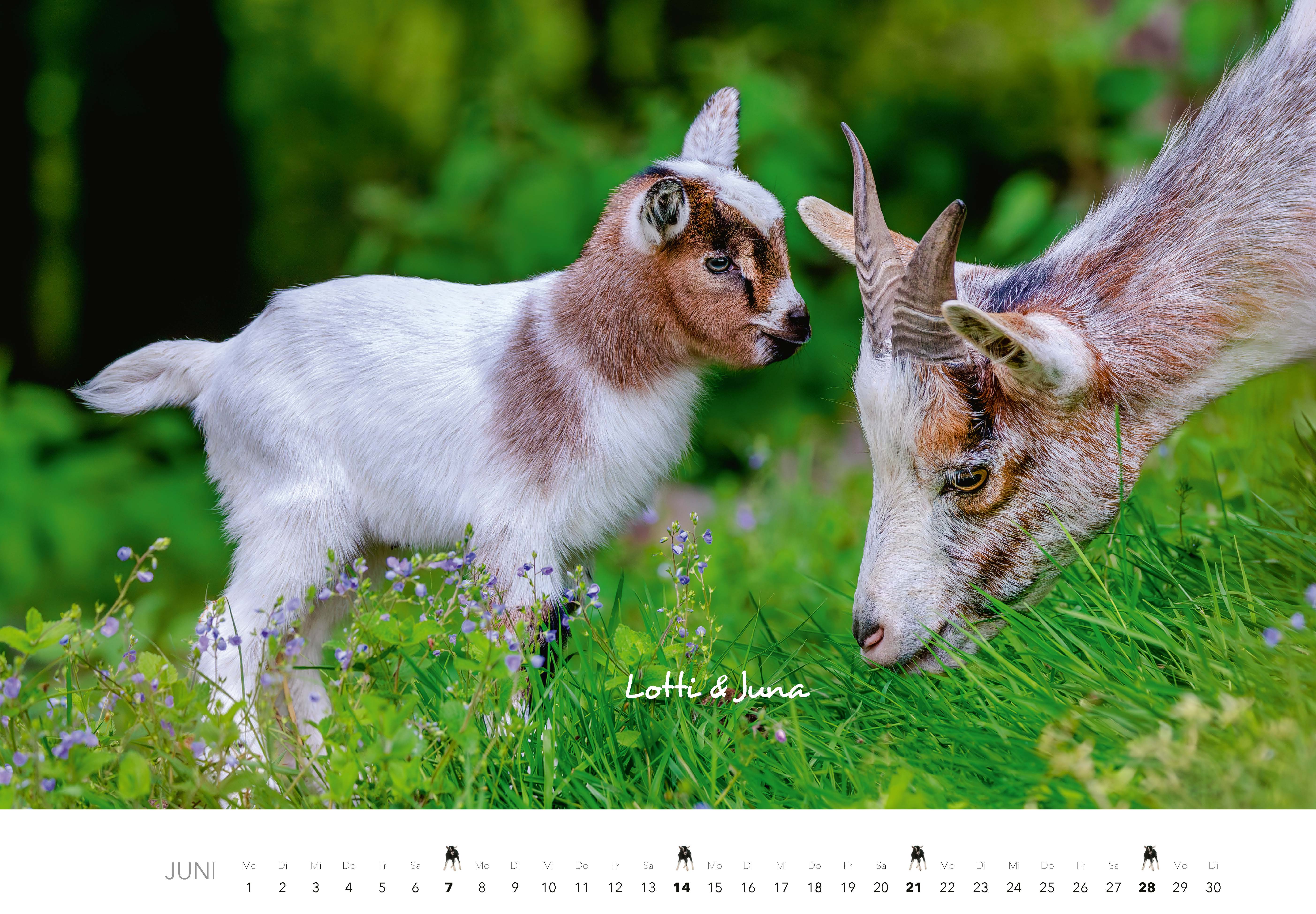 9783966649704_innenansicht_06 9783966649704_innenansicht_06.jpg