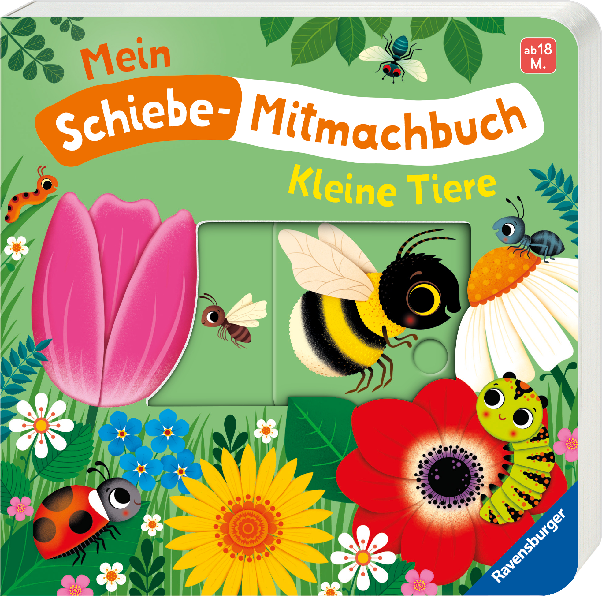 9783473421237_innenansicht_06.jpg