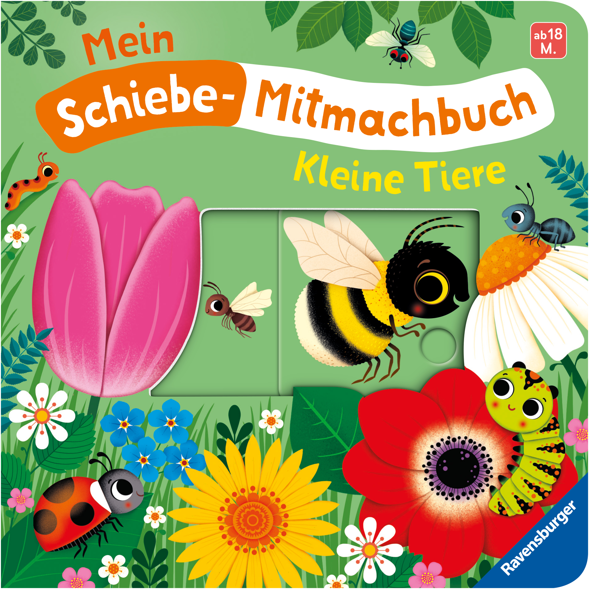 9783473421237_innenansicht_05.jpg