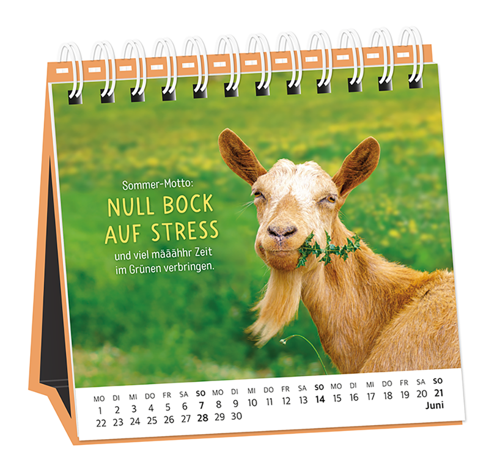 9783986361693_innenansicht_06.png
