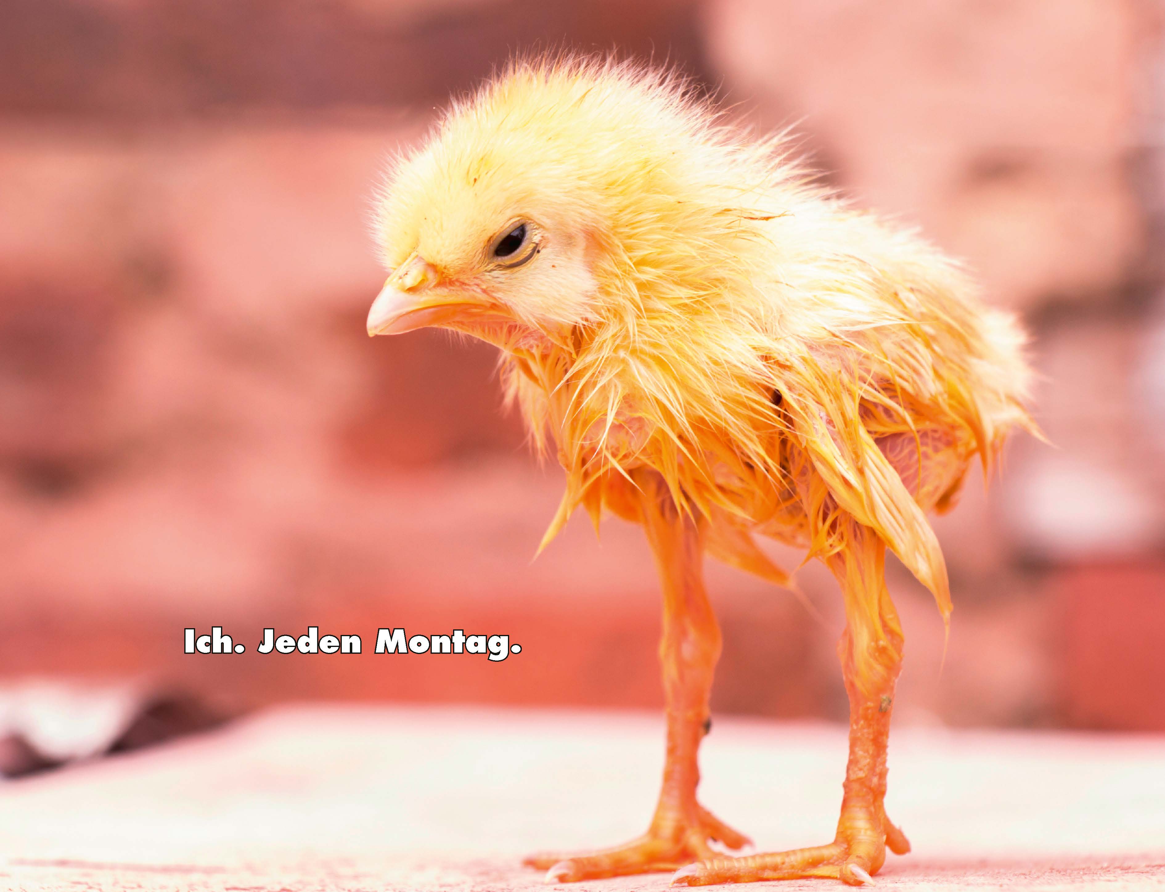 9783966649919_innenansicht_13.jpg