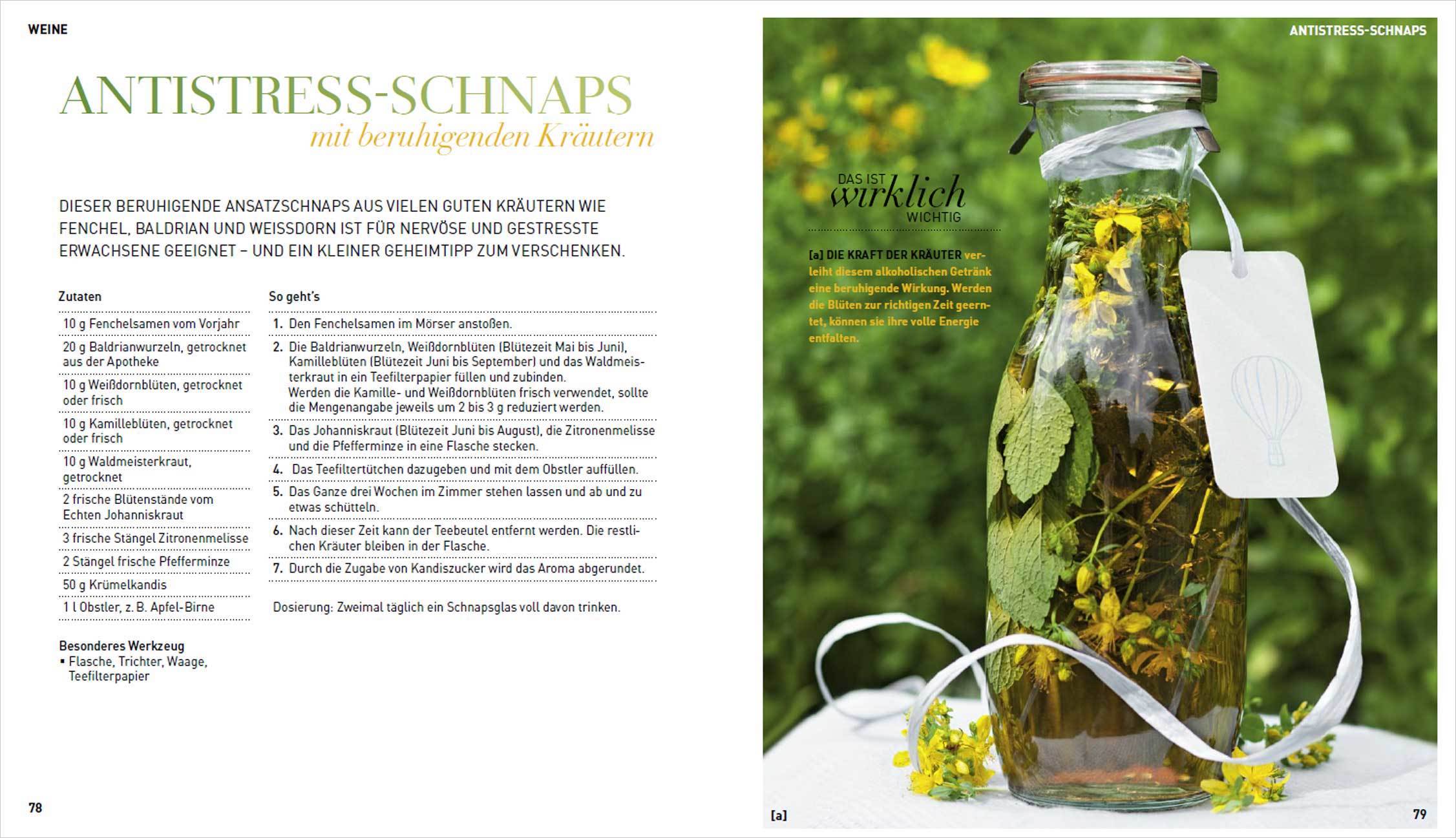 9783809446408_innenansicht_03 9783809446408_innenansicht_03.jpg