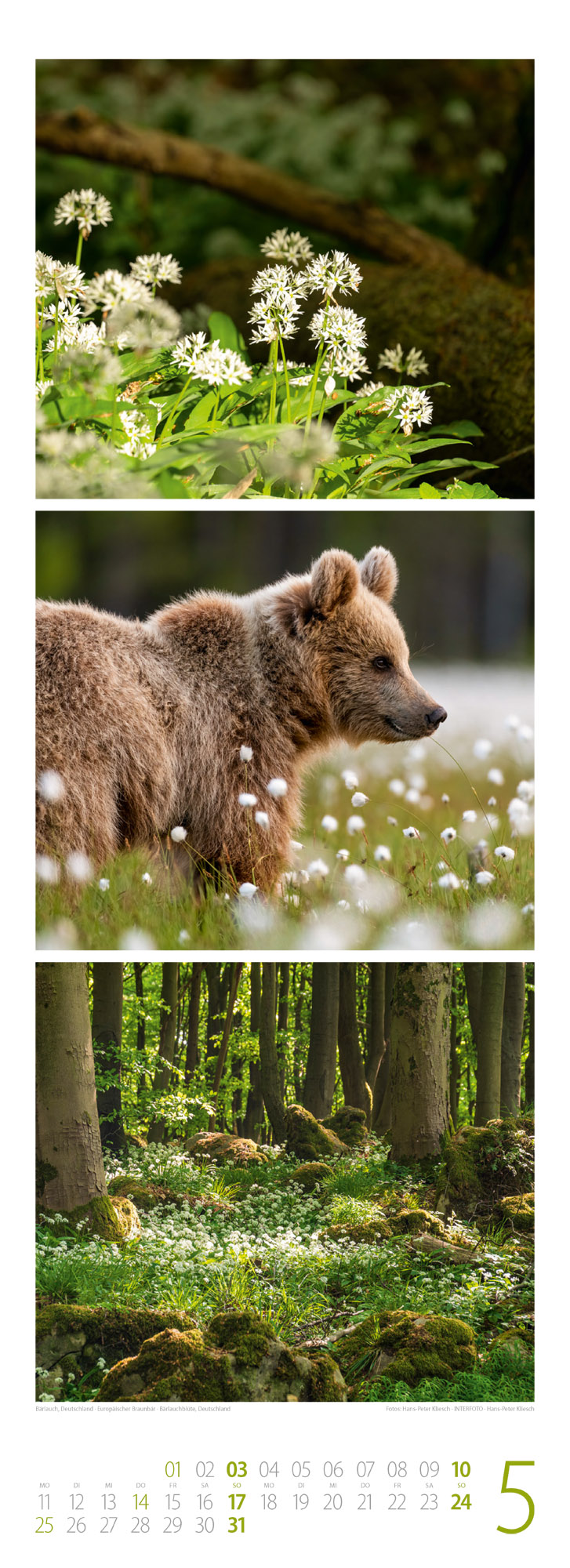 9783838426365_innenansicht_05 9783838426365_innenansicht_05.jpg