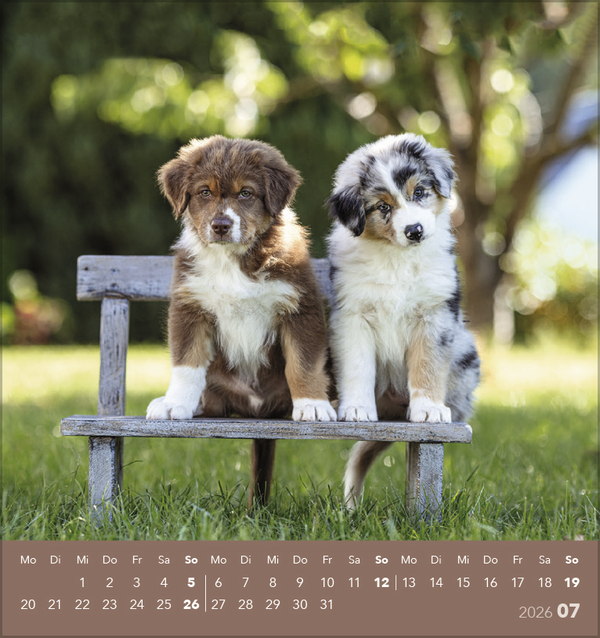 9783731884064_innenansicht_07 9783731884064_innenansicht_07.jpg