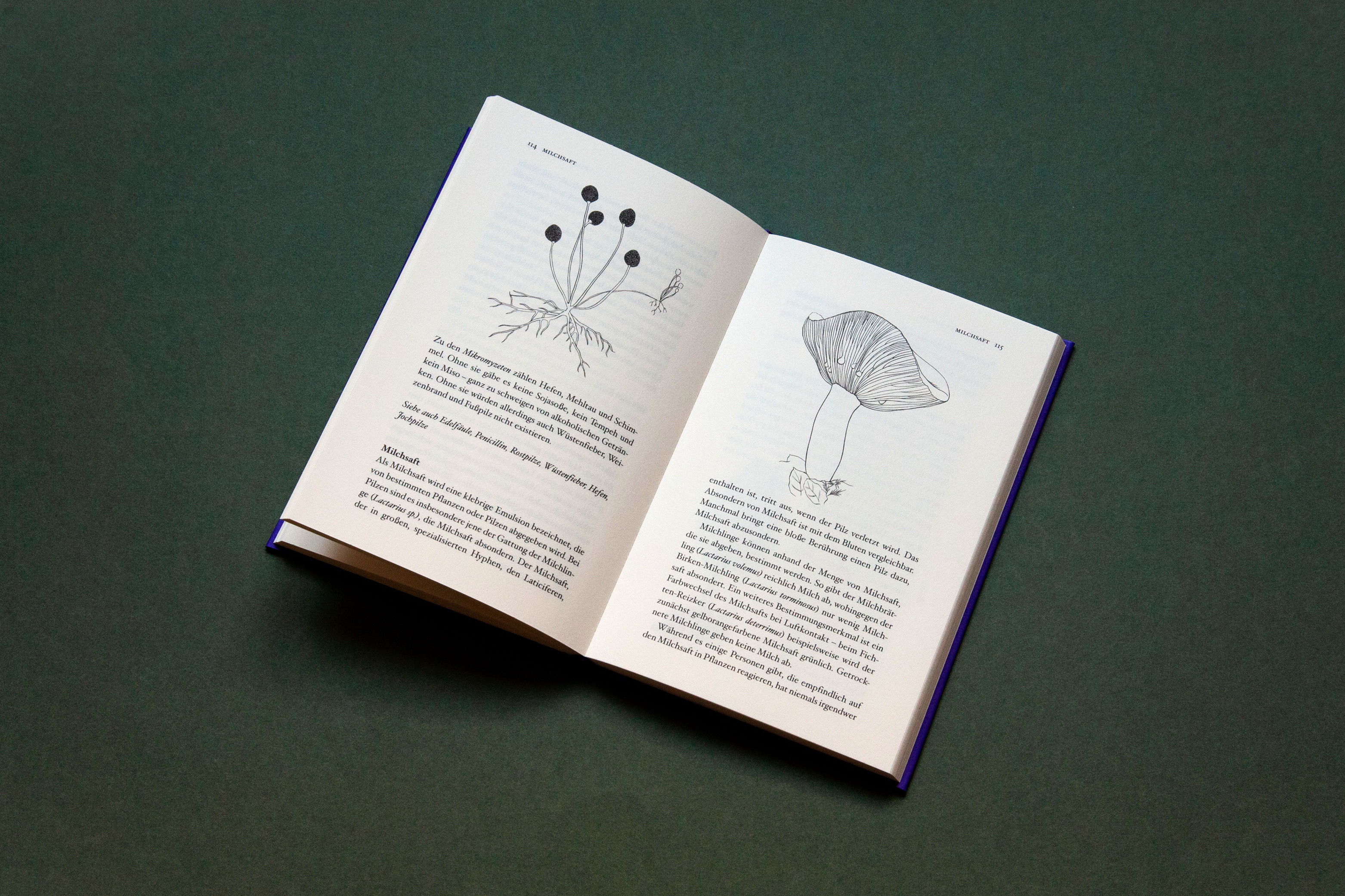 9783948722357_produktbild_05 9783948722357_produktbild_05.jpg