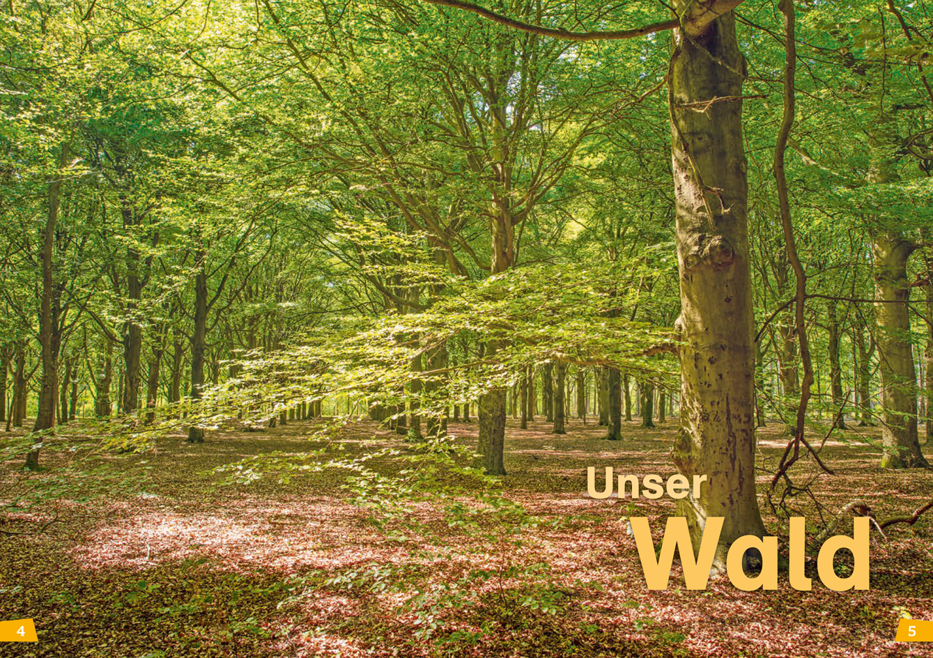 9783788626426_innenansicht_01 9783788626426_innenansicht_01.jpg