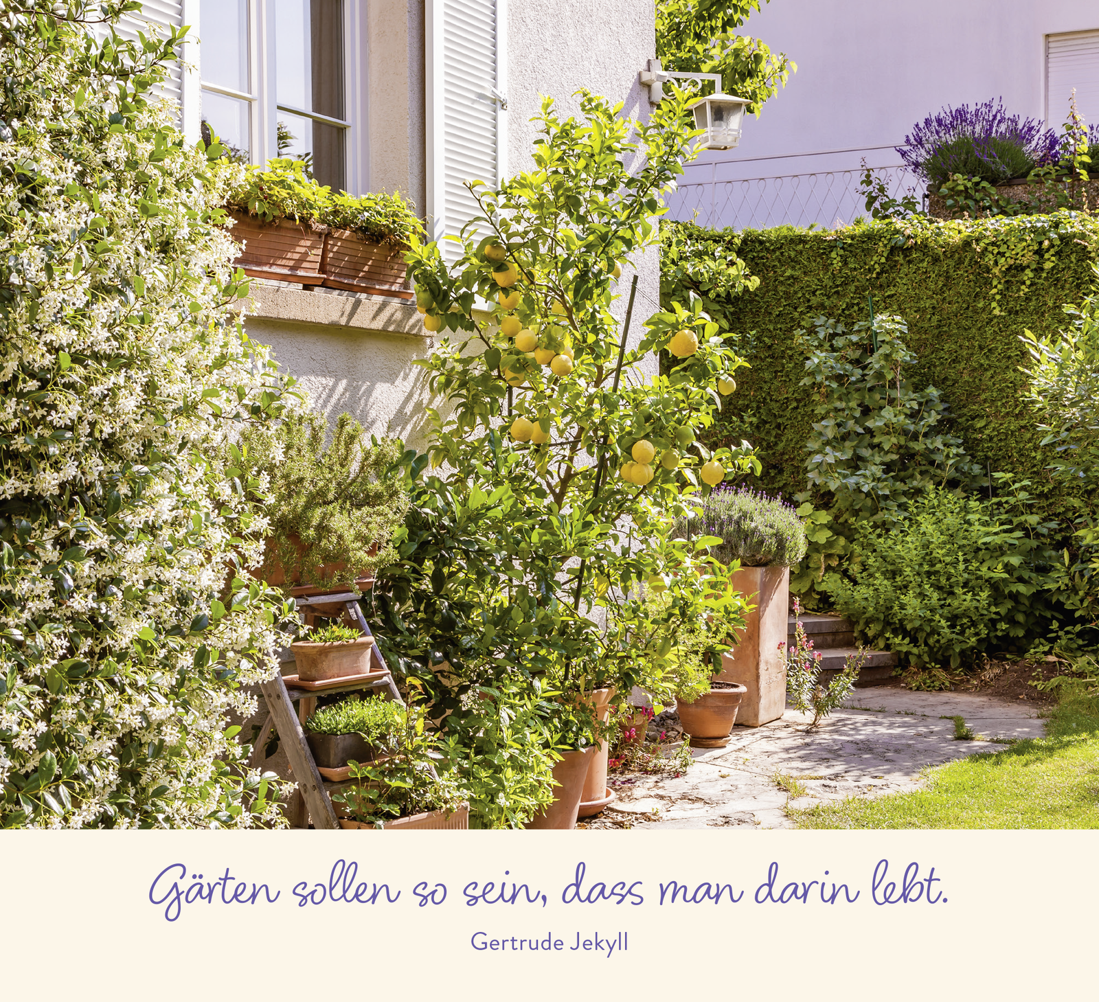 9783848502905_innenansicht_03 9783848502905_innenansicht_03.png