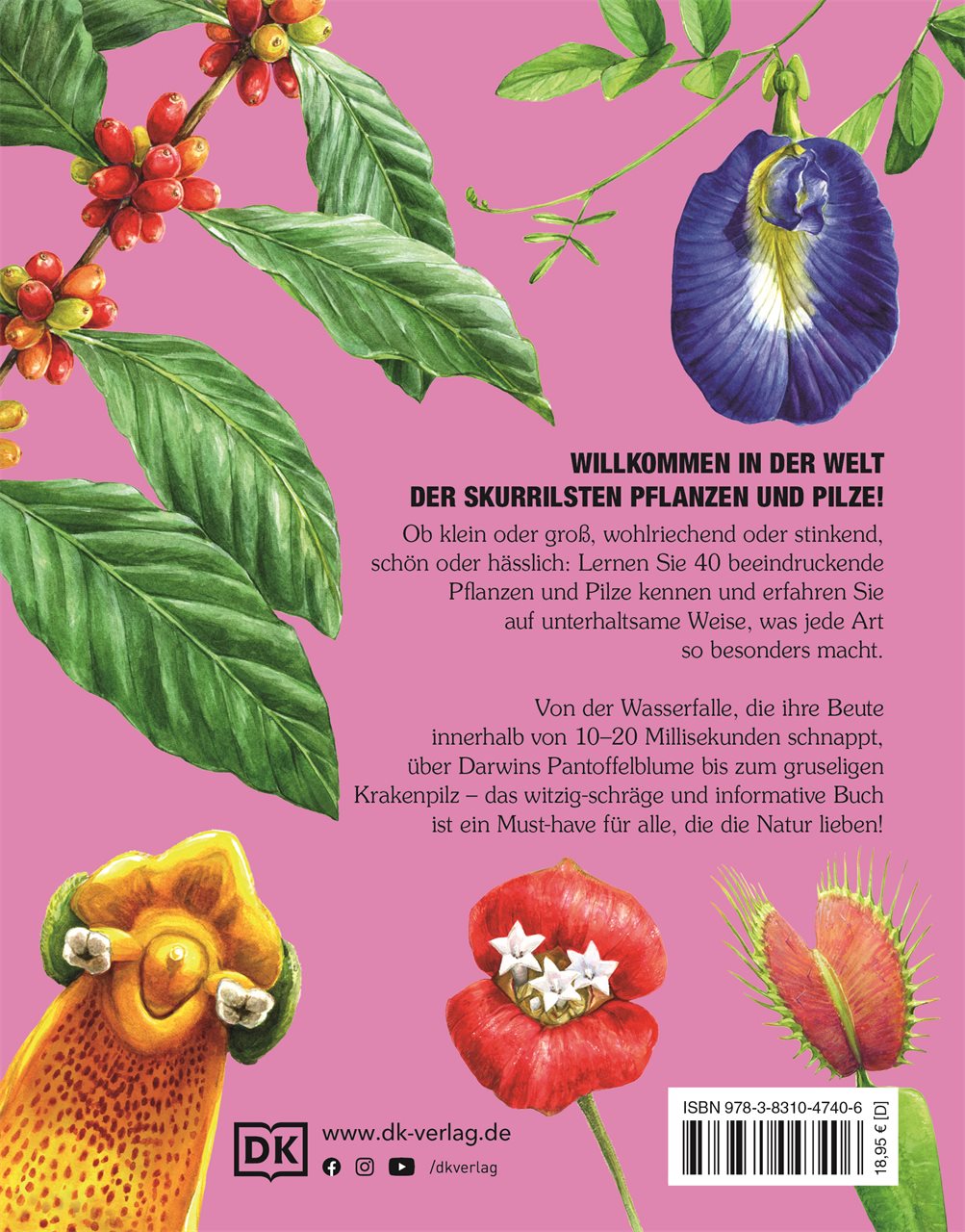 9783831047406_BC 9783831047406_BC.jpg