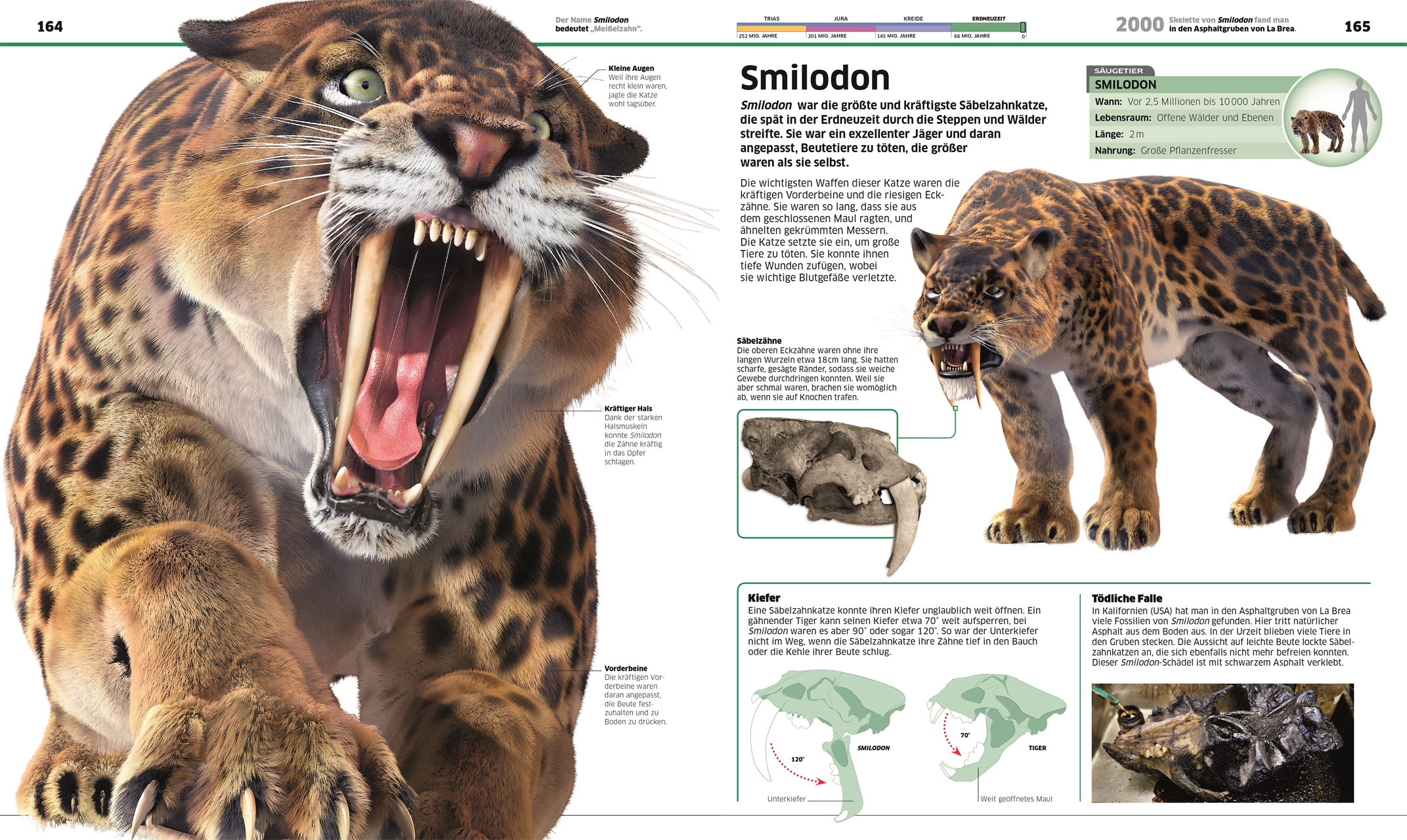 9783831040063_innenansicht_06 9783831040063_innenansicht_06.jpg