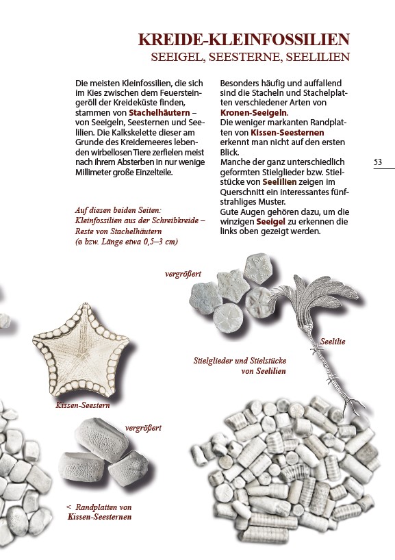 9783944102665_innenansicht_03 9783944102665_innenansicht_03.jpg