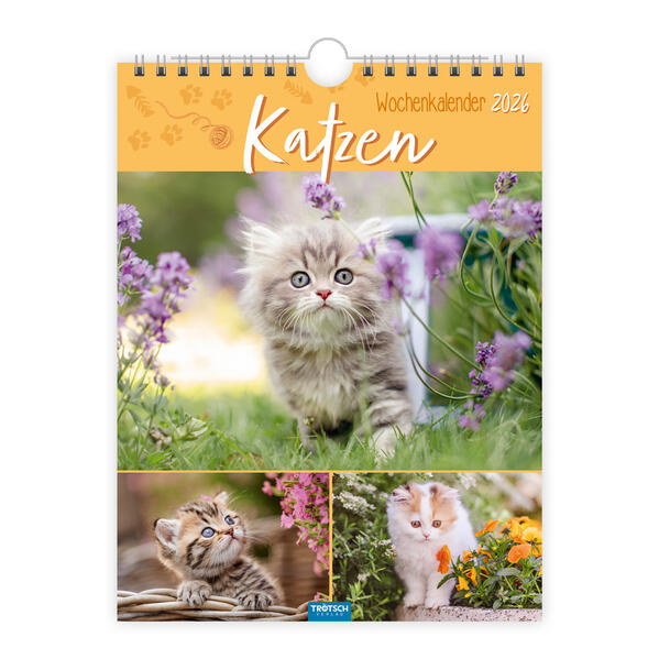 9783988024343 9783988024343