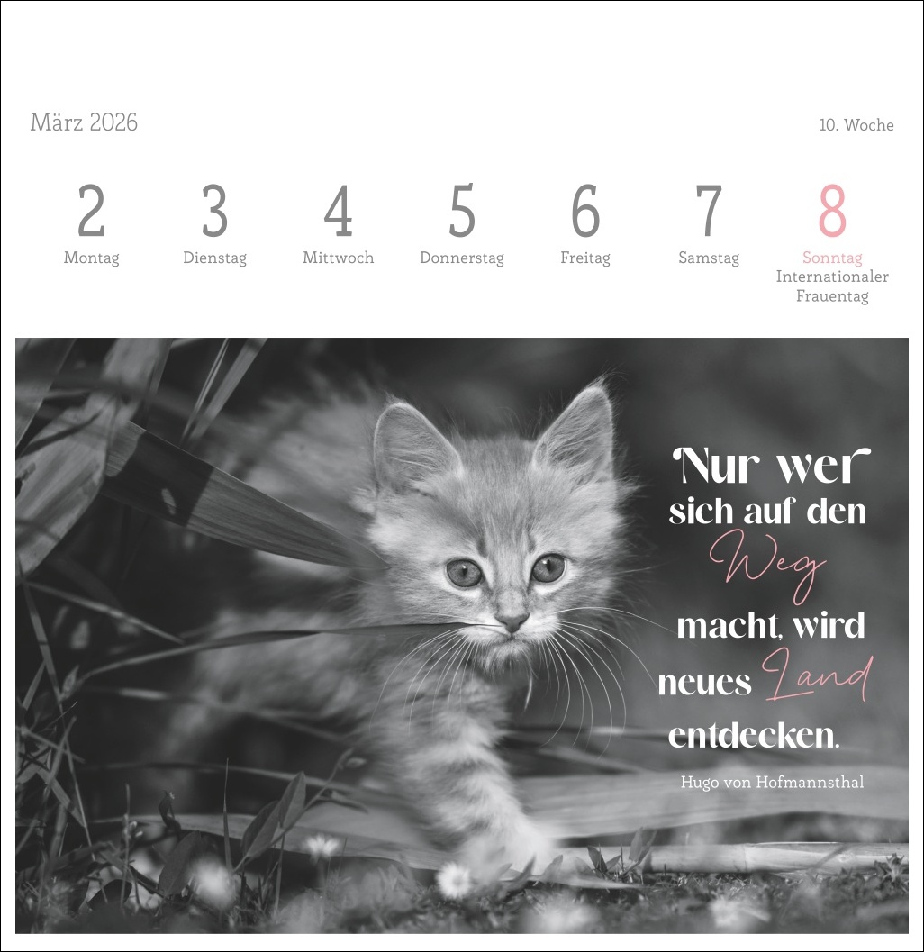 9783756411955_innenansicht_10.jpg