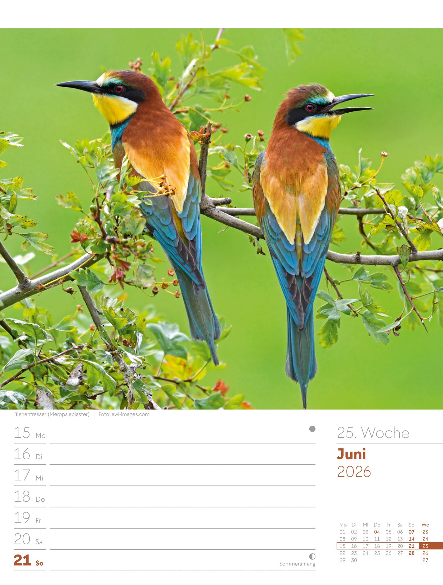 9783838436289_innenansicht_28 9783838436289_innenansicht_28.jpg