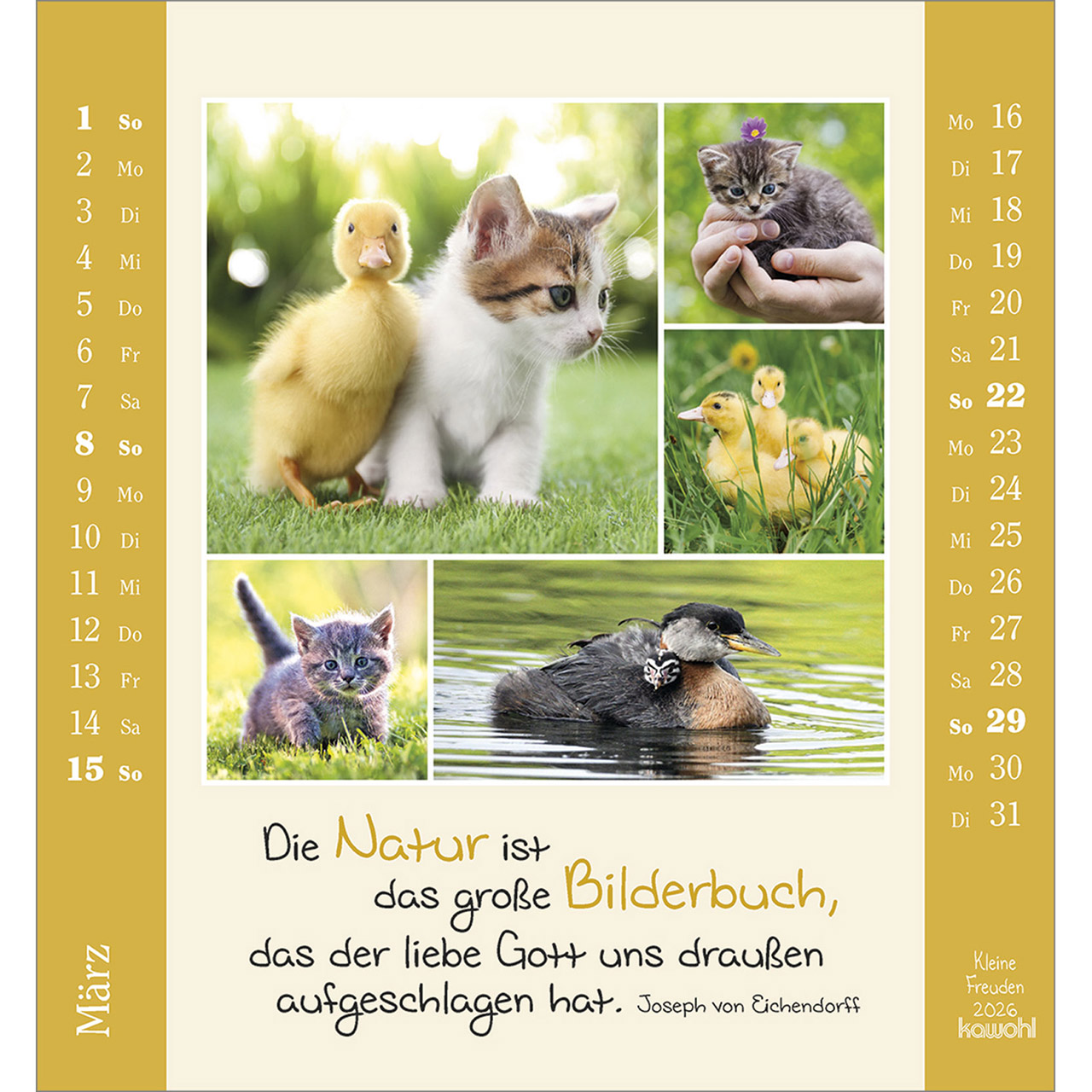 9783754881460_innenansicht_03.jpg
