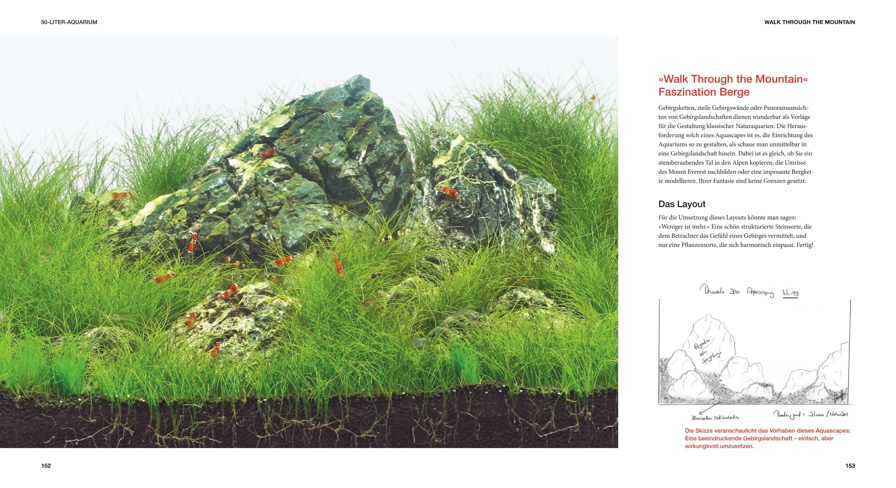 9783833824111_innenansicht_05 9783833824111_innenansicht_05.jpg