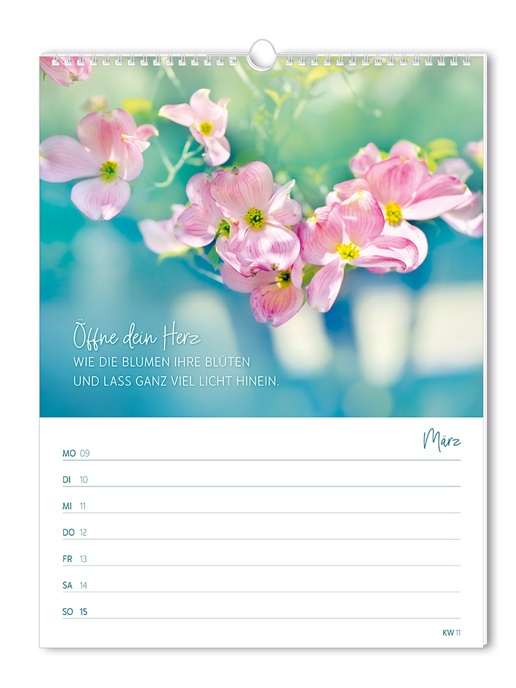 9783986361846_innenansicht_03 9783986361846_innenansicht_03.png