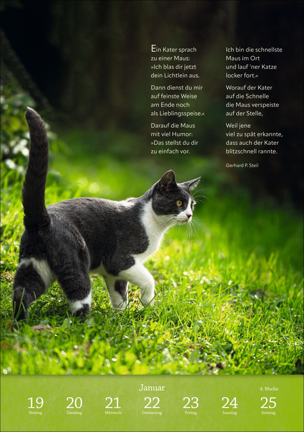 9783840036507_innenansicht_01 9783840036507_innenansicht_01.jpg