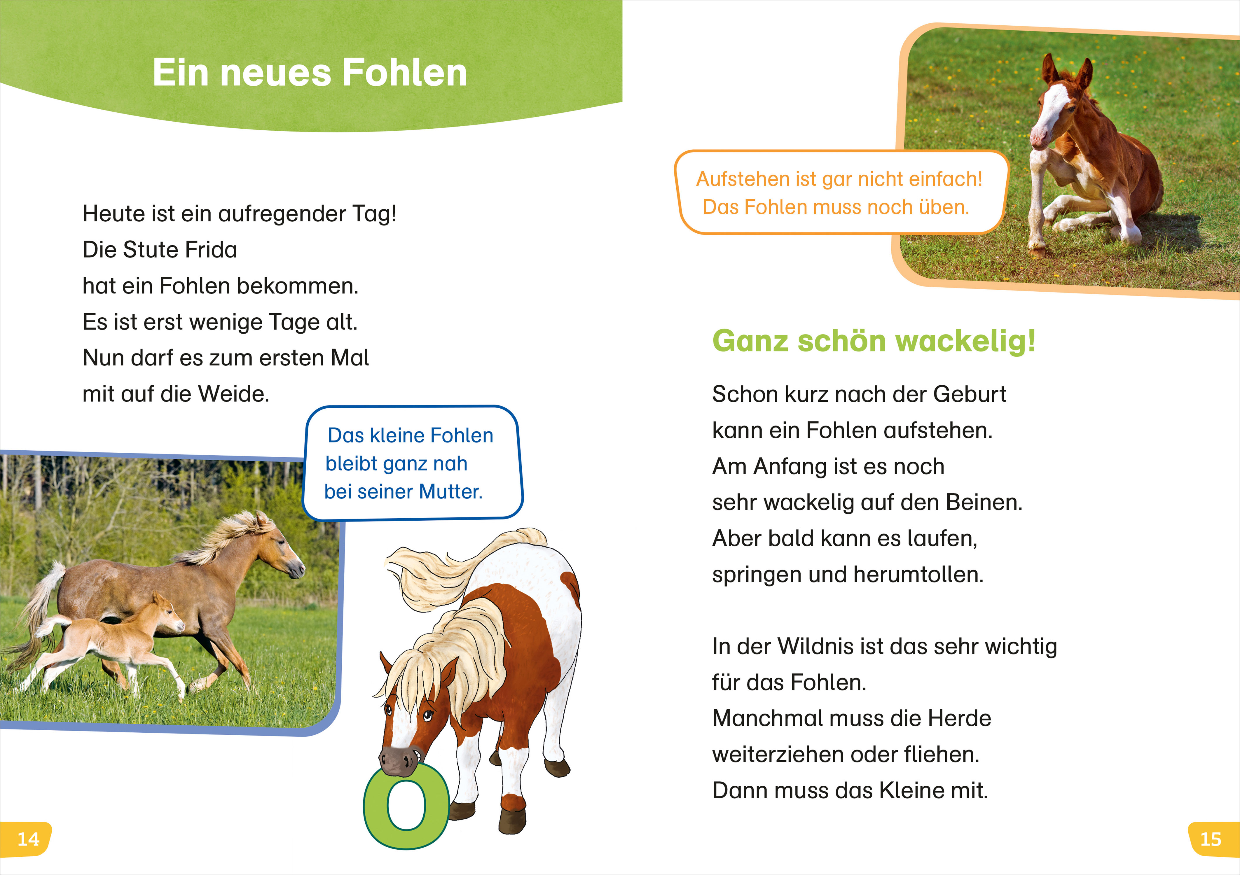 9783788677466_innenansicht_02.jpg