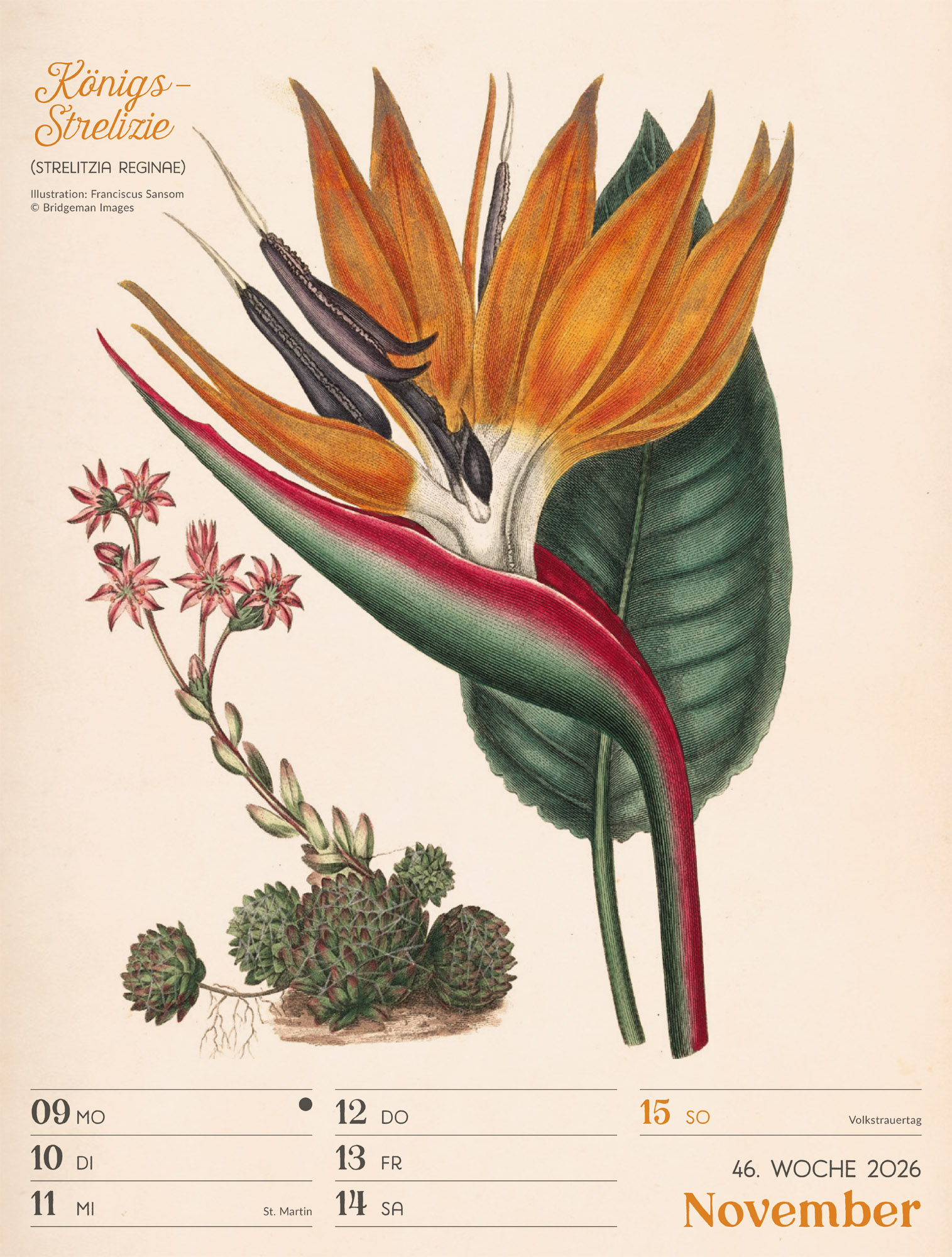 9783838436128_innenansicht_49 9783838436128_innenansicht_49.jpg