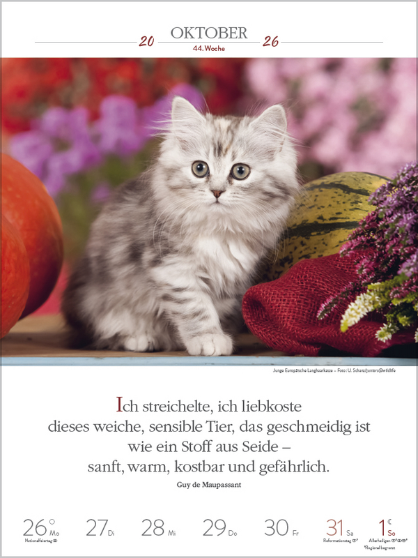 9783731884354_innenansicht_09.jpg