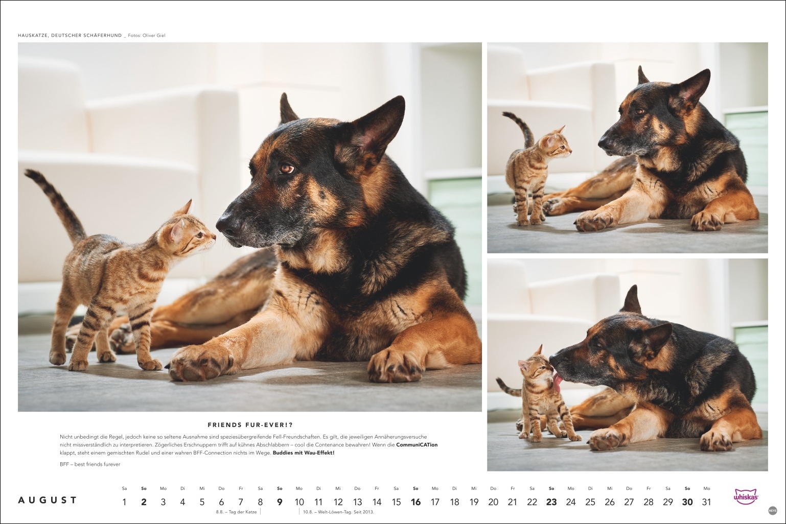 9783756413119_innenansicht_08 9783756413119_innenansicht_08.jpg