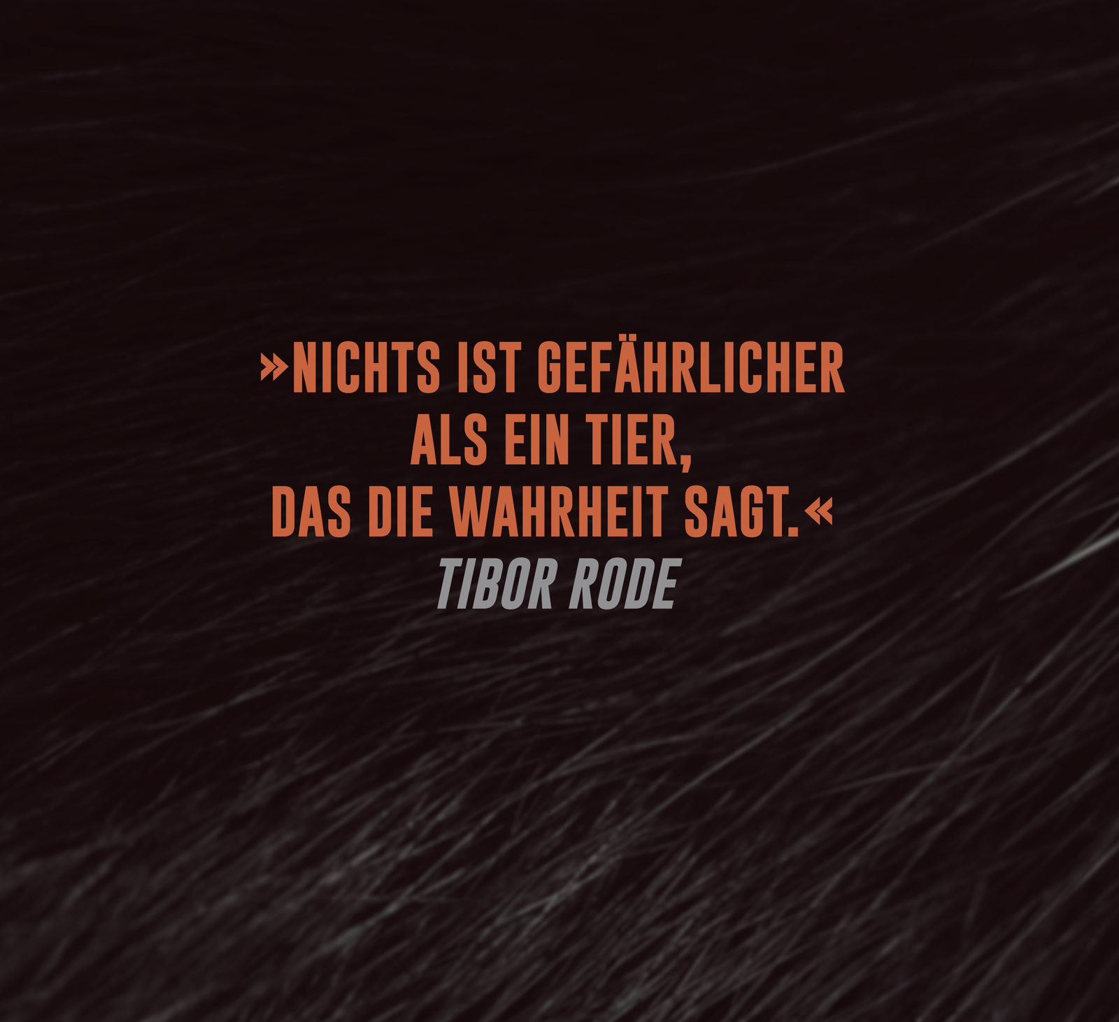 9783426562659_innenansicht_01.png