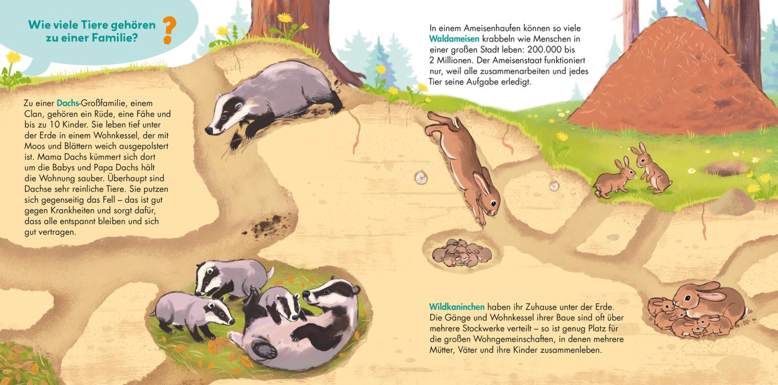 9783551253651_innenansicht_03 9783551253651_innenansicht_03.jpg