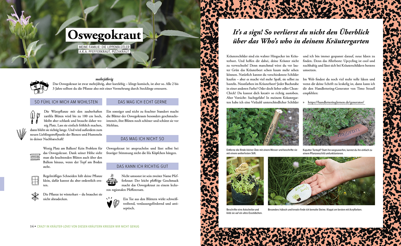 9783706626880_innenansicht_07 9783706626880_innenansicht_07.jpg