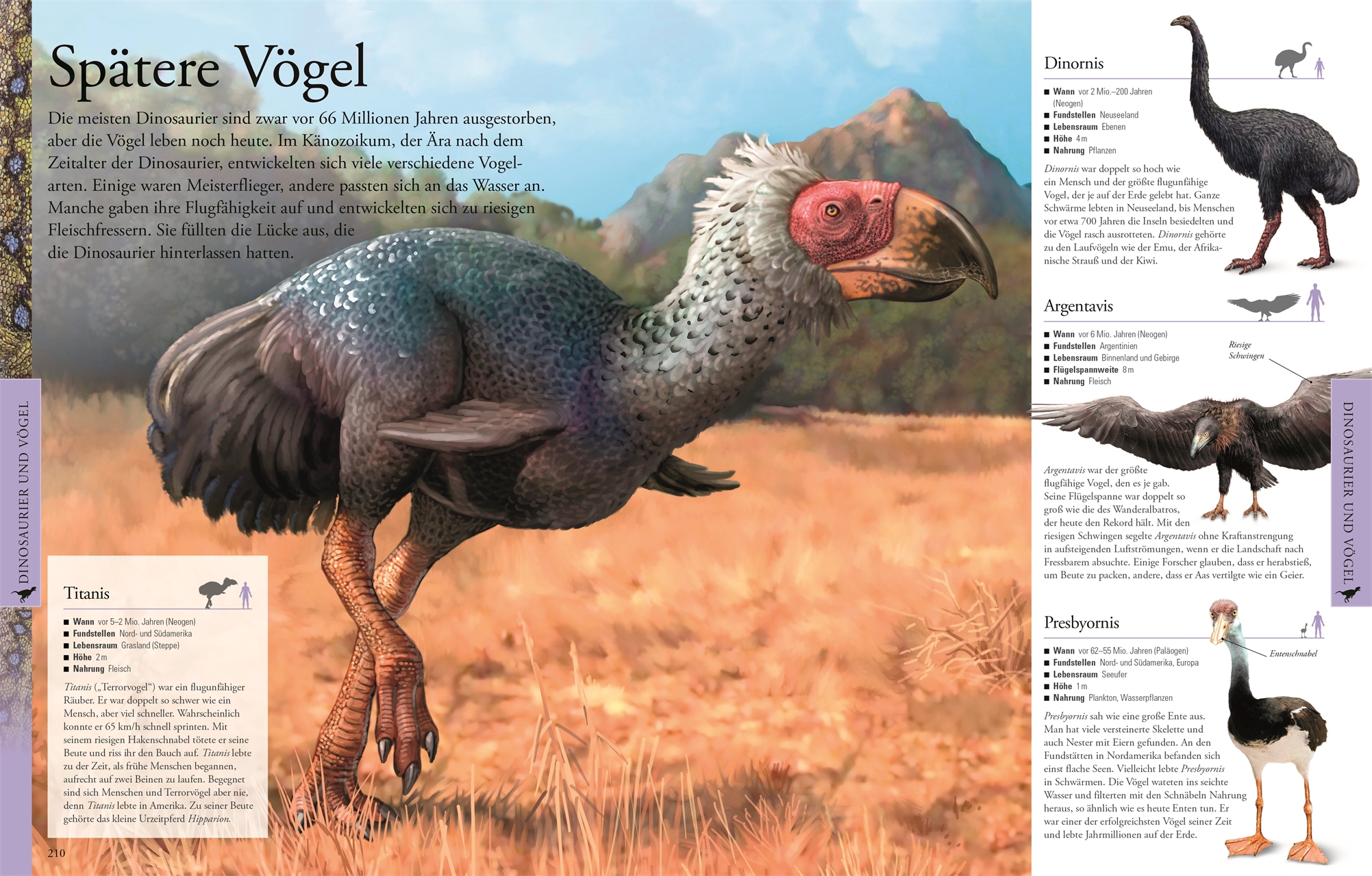 9783831036776_innenansicht_05 9783831036776_innenansicht_05.jpg